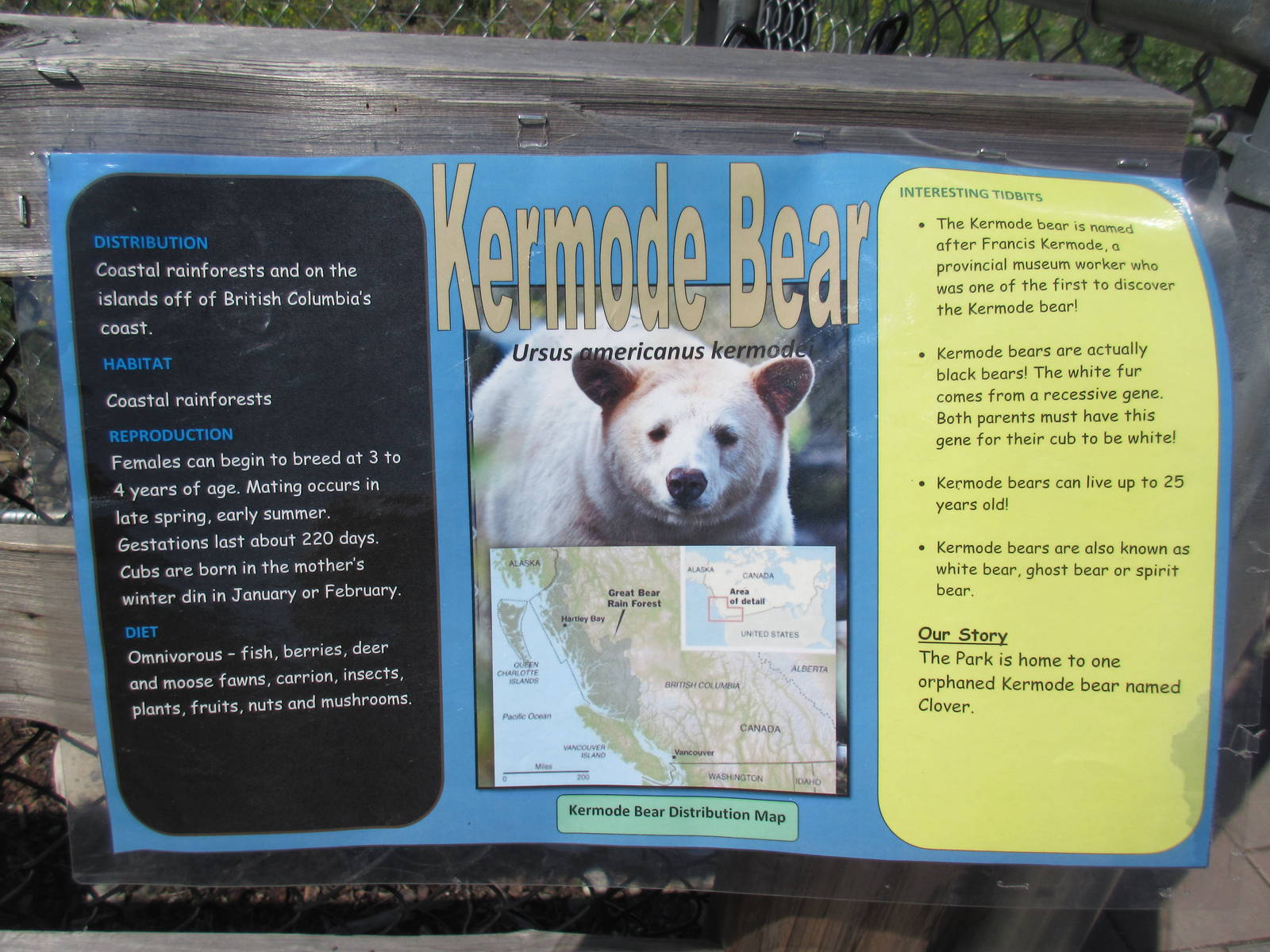 2.7 Acre Kermode Bear Exhibit - Sign