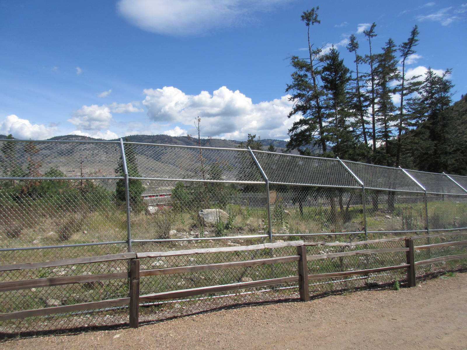 2.7 Acre Kermode Bear Exhibit (the only captive specimen on the planet)