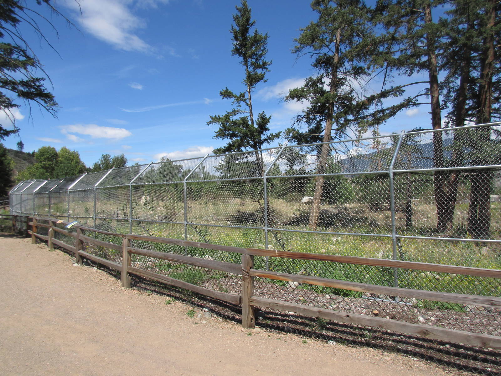 2.7 Acre Kermode Bear Exhibit (the only captive specimen on the planet)