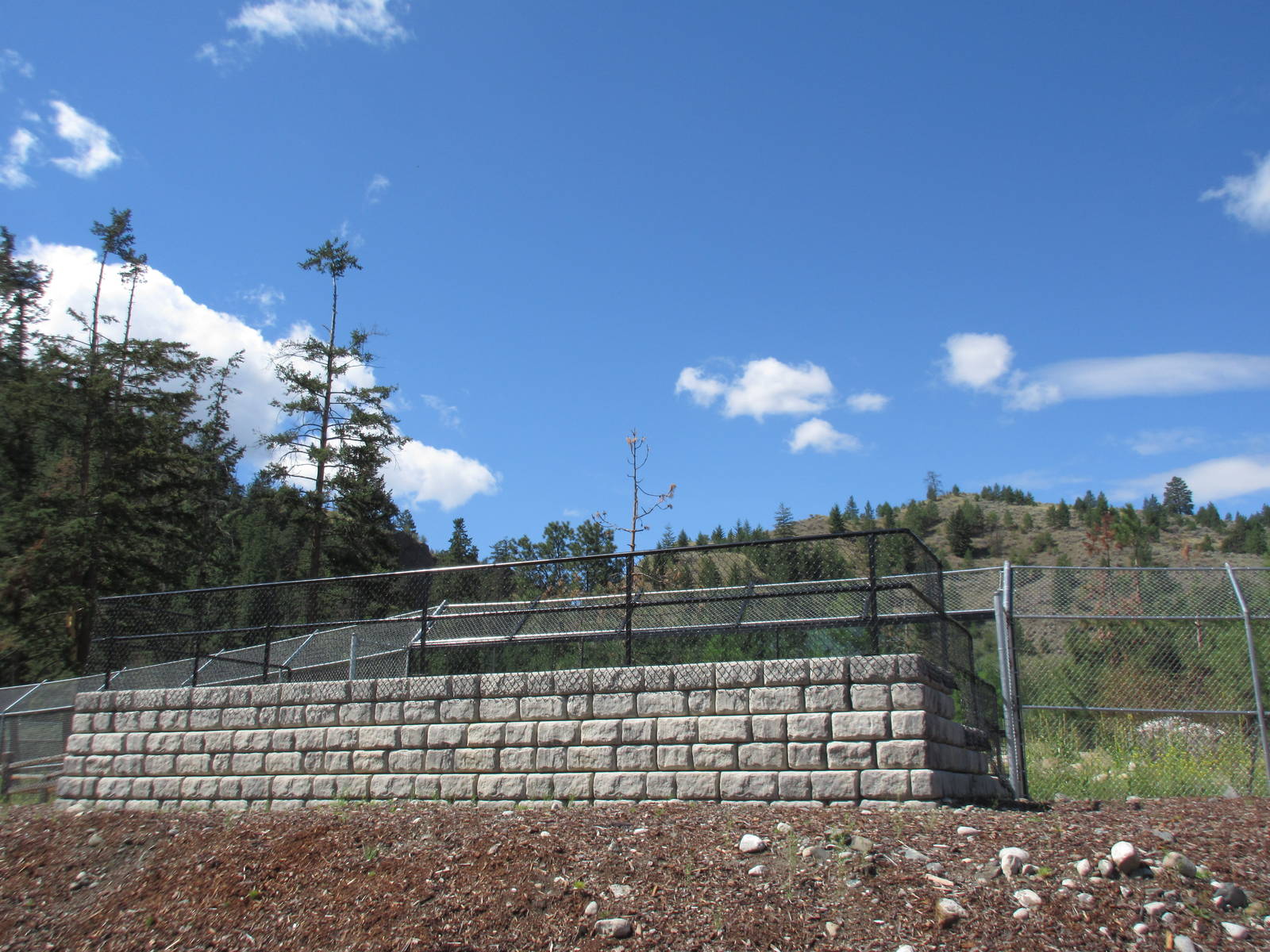 2.7 Acre Kermode Bear Exhibit - Viewing Platform