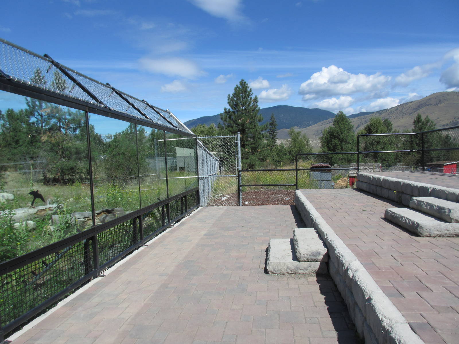 2.7 Acre Kermode Bear Exhibit - Viewing Platform