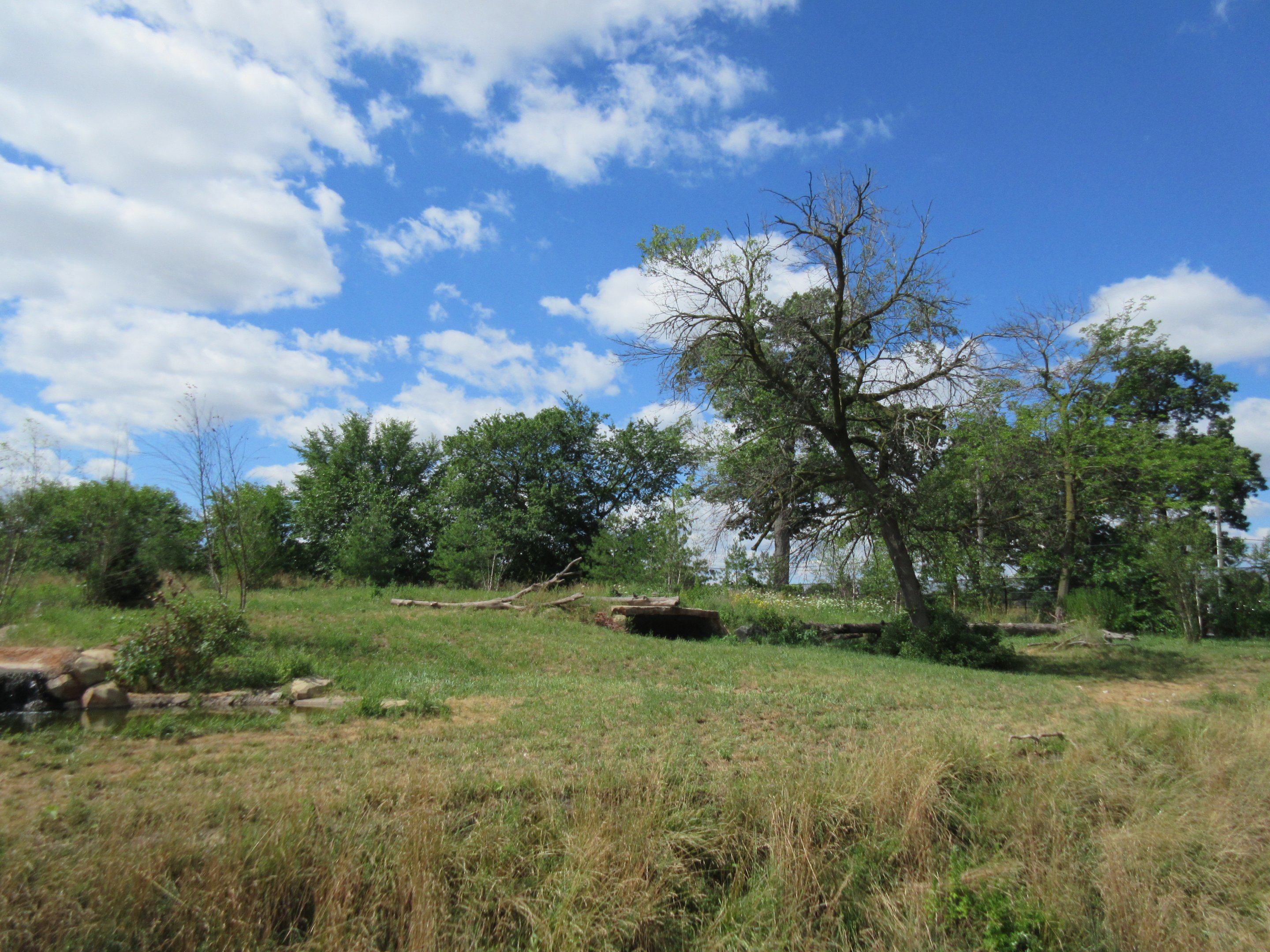 2-Acre Grey Wolf Exhibit - New in 2015