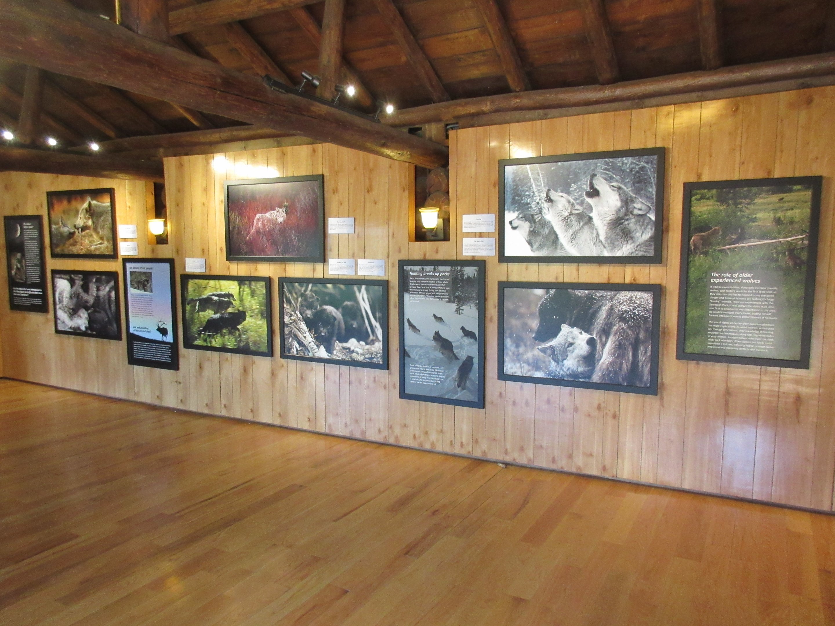 2-Acre Grey Wolf Exhibit - New in 2015