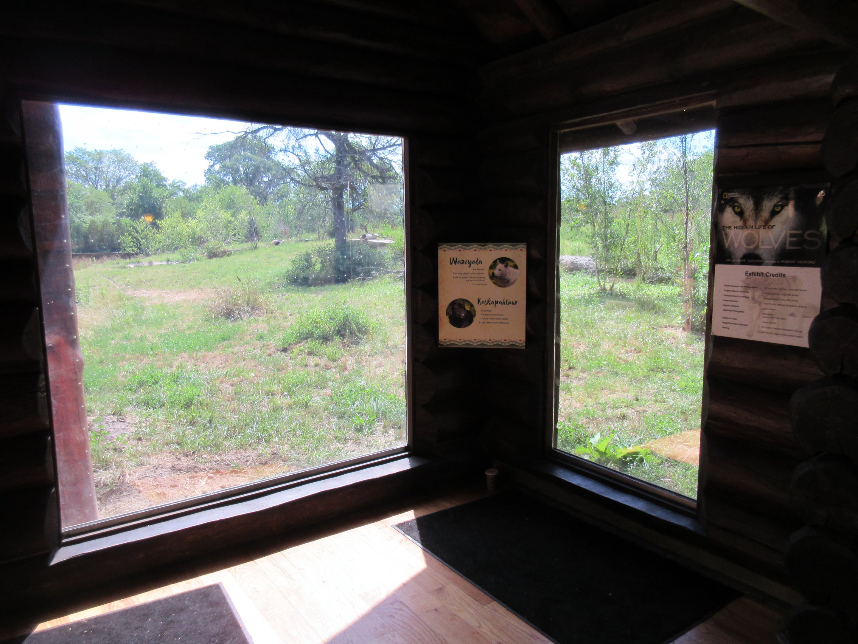 2-Acre Grey Wolf Exhibit - New in 2015