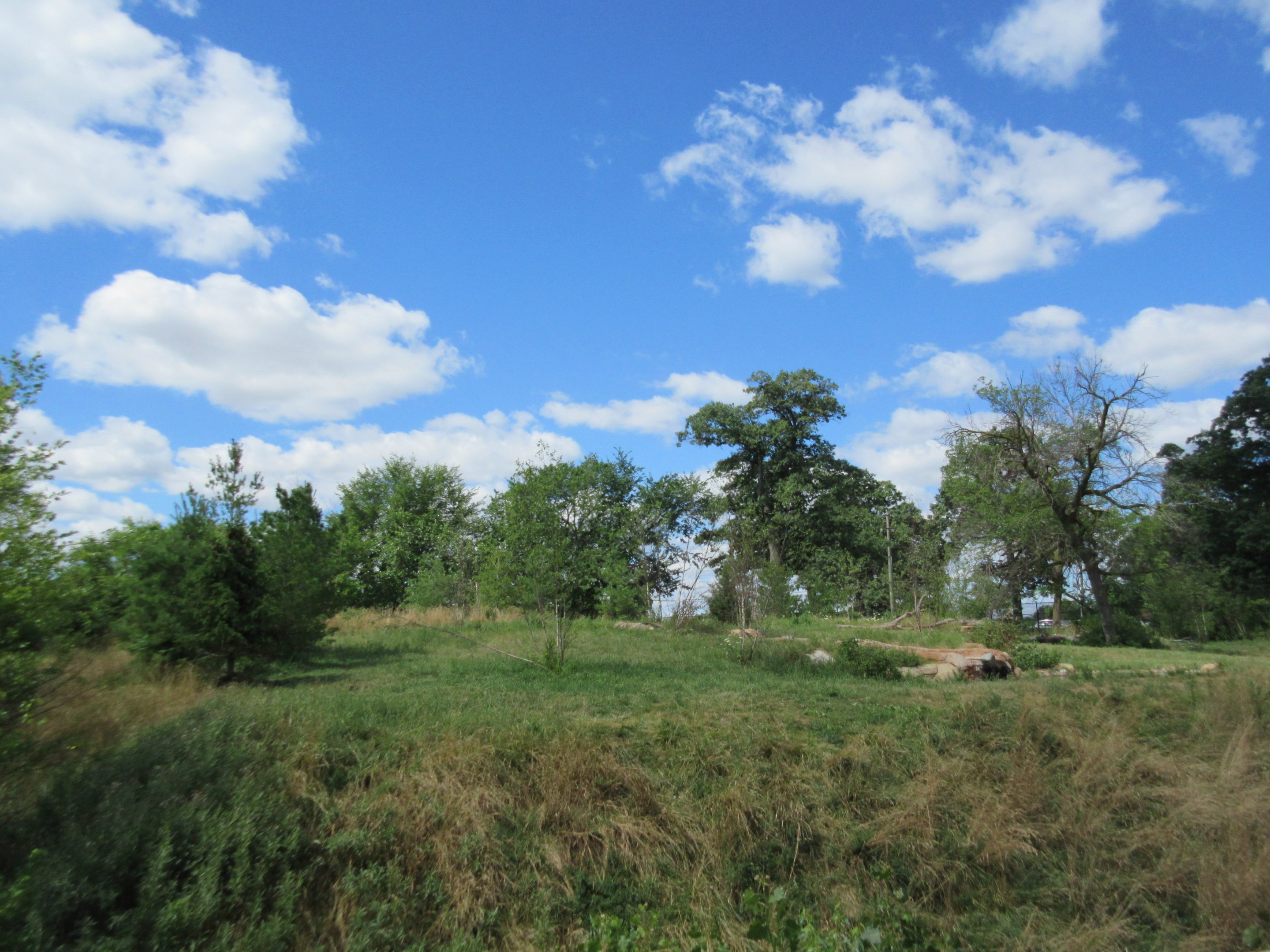 2-Acre Grey Wolf Exhibit - New in 2015