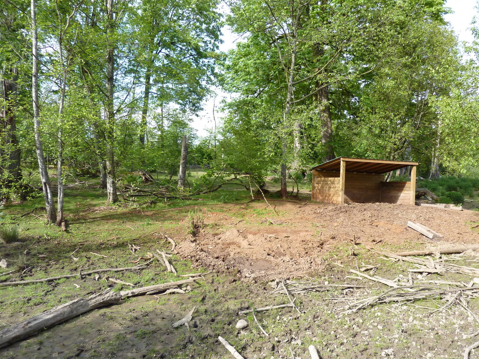 2-Acre Wild Boar Enclosure