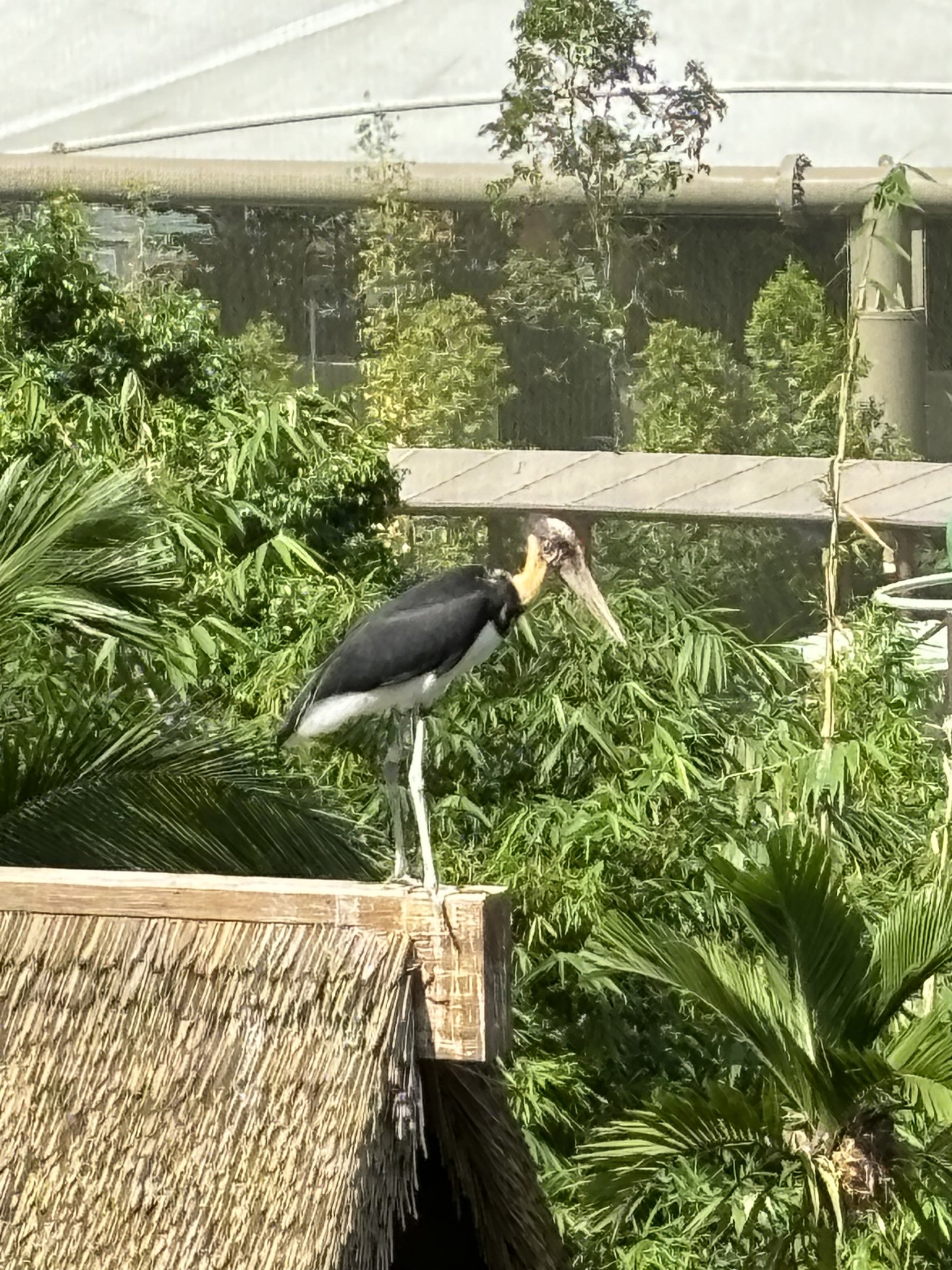 2-Acre Wings of Asia Aviary