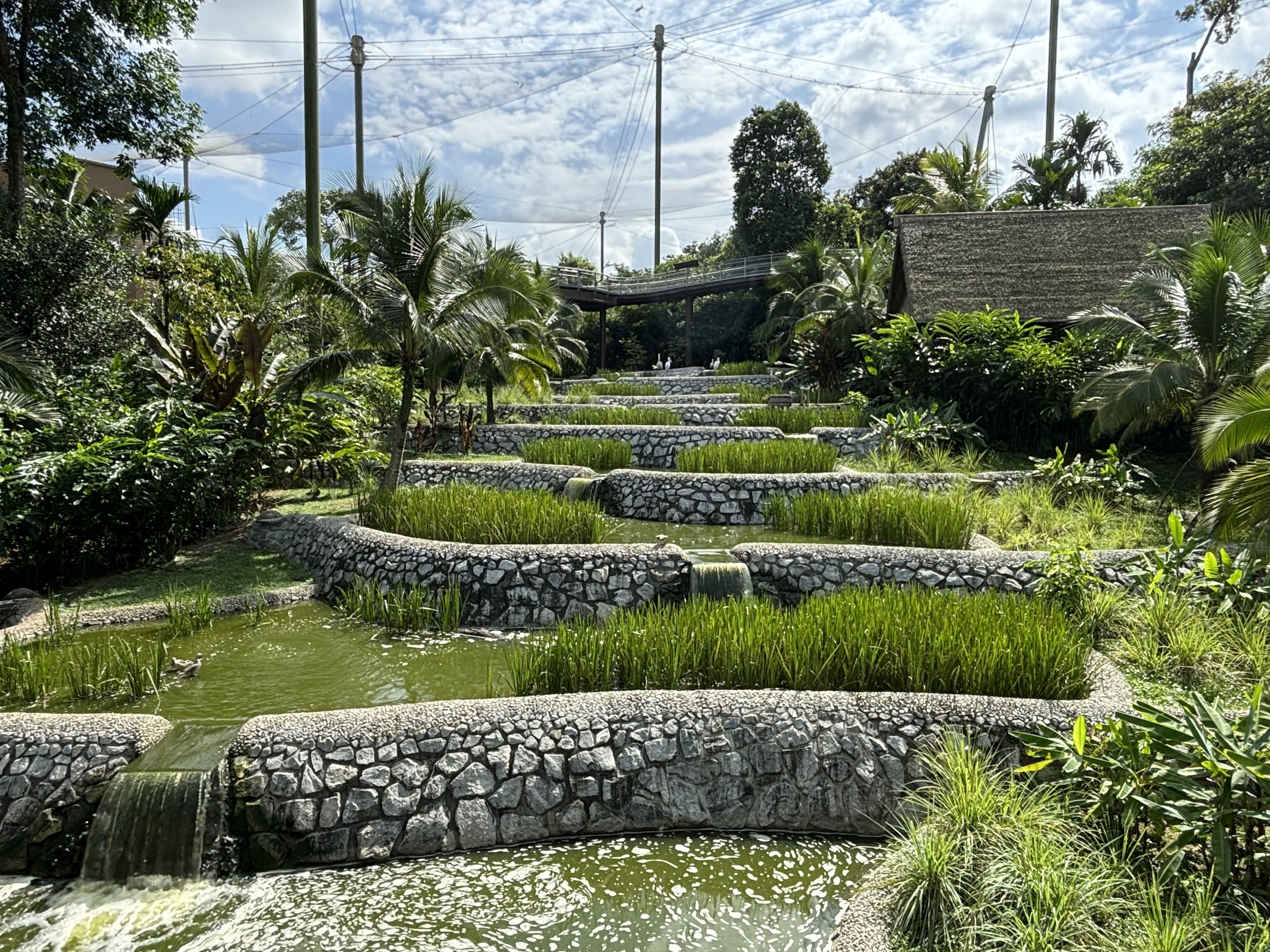 2-Acre Wings of Asia Aviary