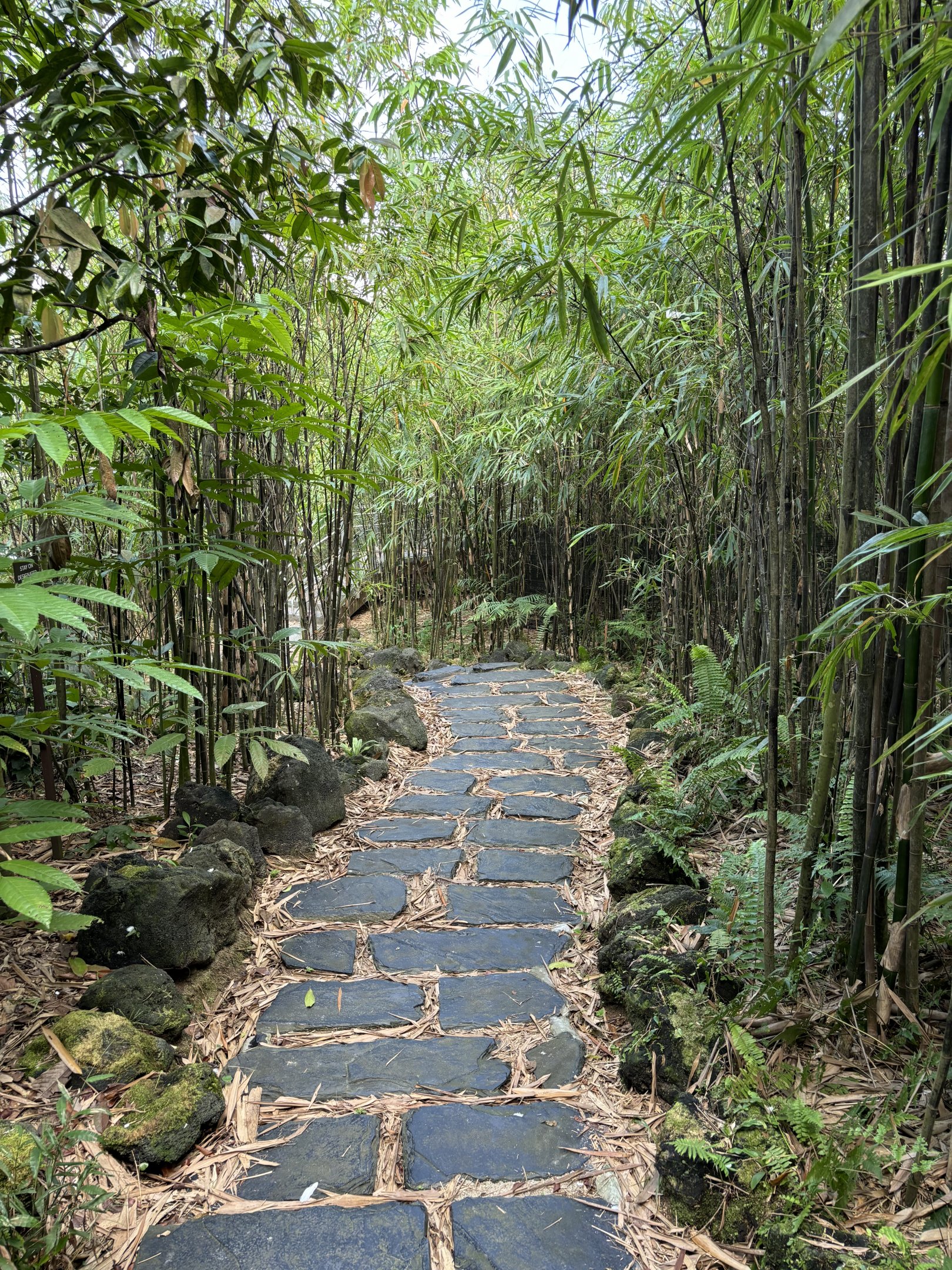 2-Acre Wings of Asia Aviary