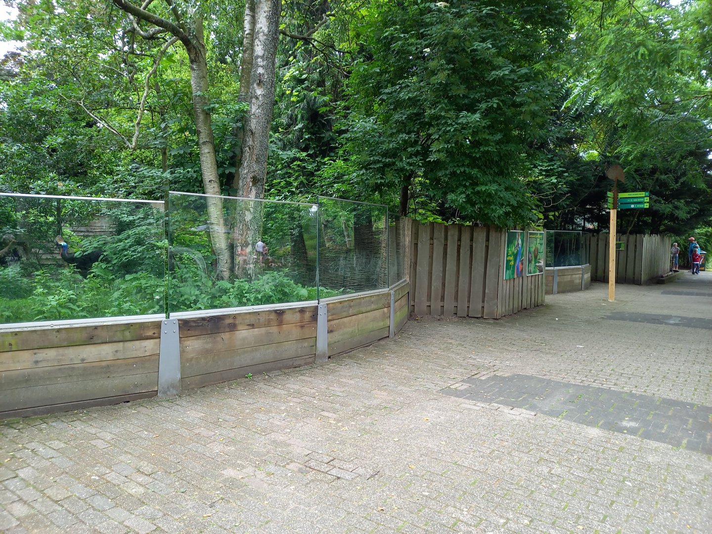 2 Cassowarry enclosures