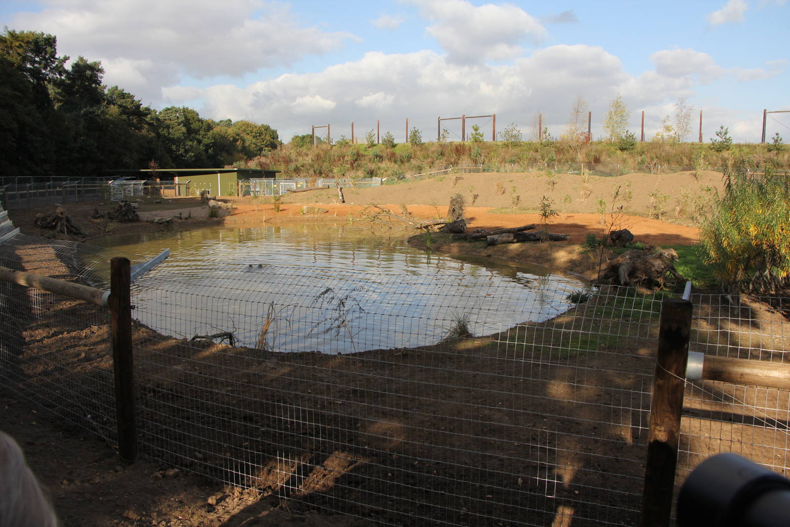 2 Giant otters in their enclosure 20-10-15