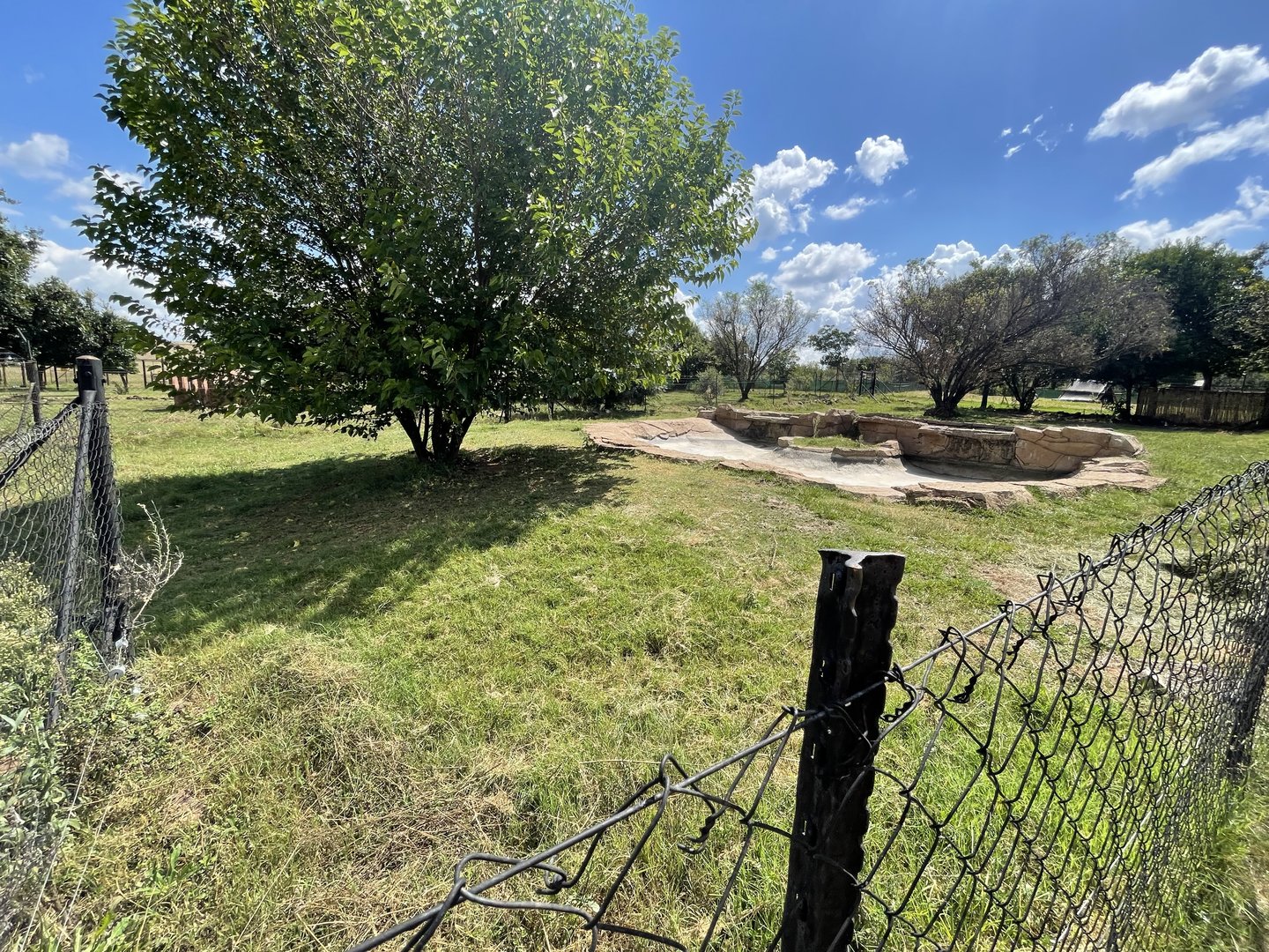 #2 Pygmy Hippo Enclosure (Choeropsis liberiensis)