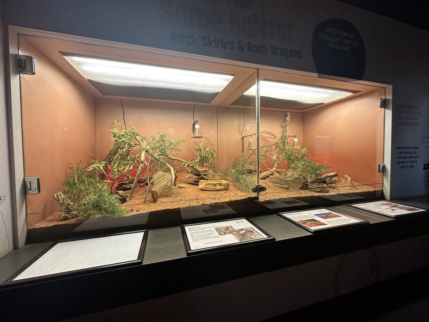 2 Reptile enclosures in the reptile house