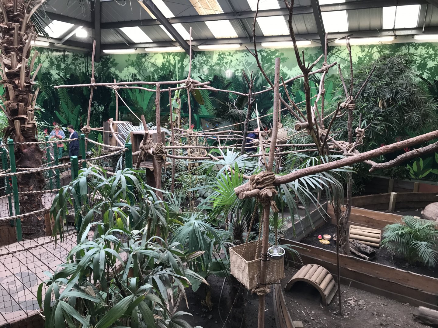 2 toed sloth enclosure (2)