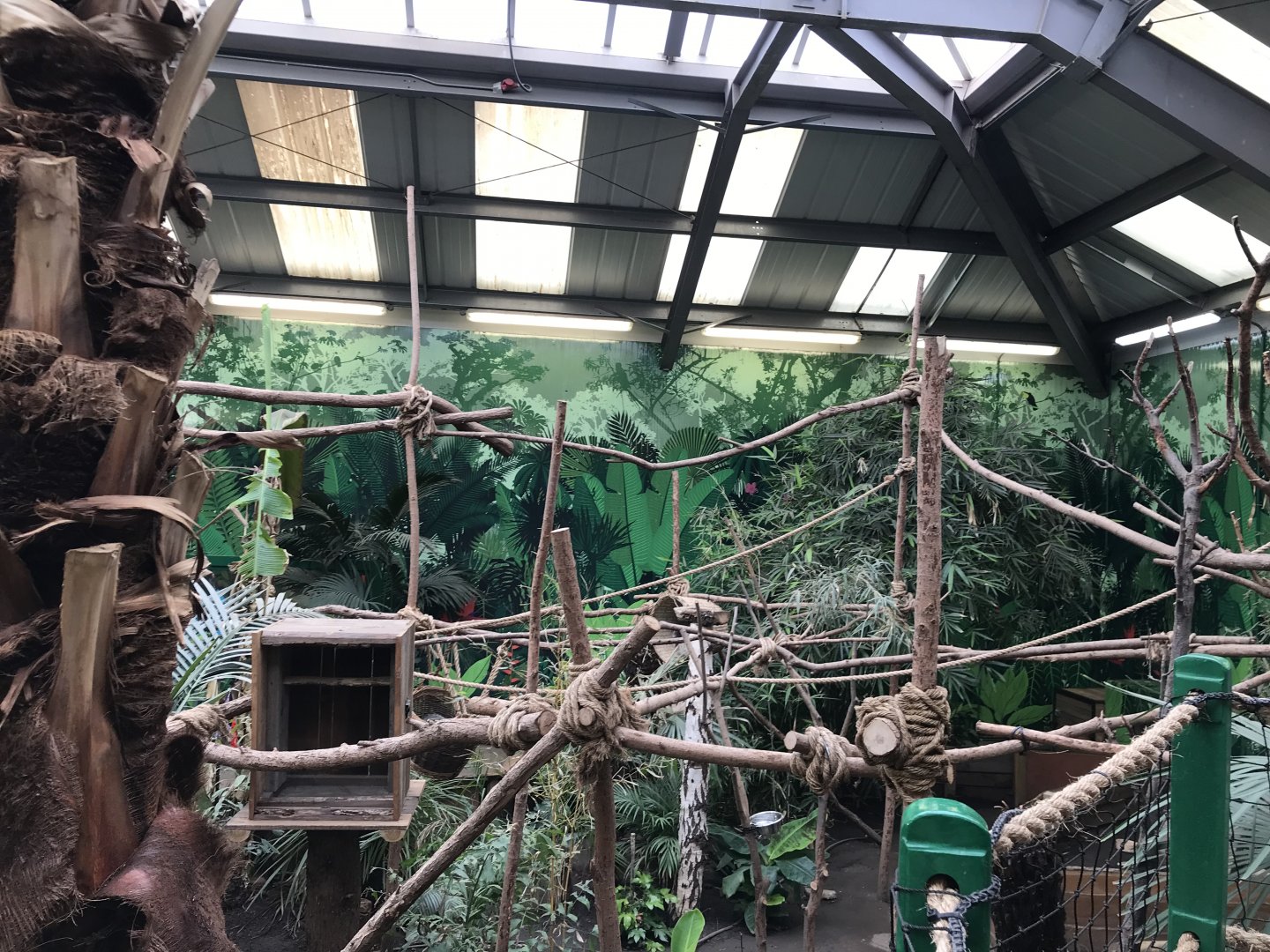 2 toed sloth enclosure (3)