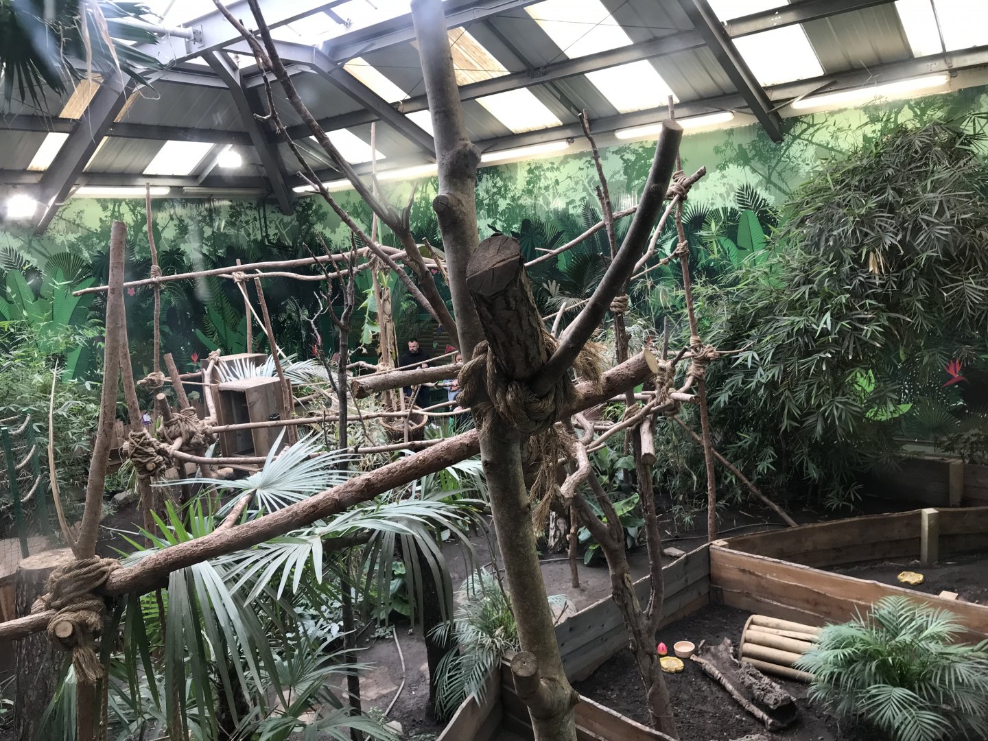 2 toed sloth enclosure (4)