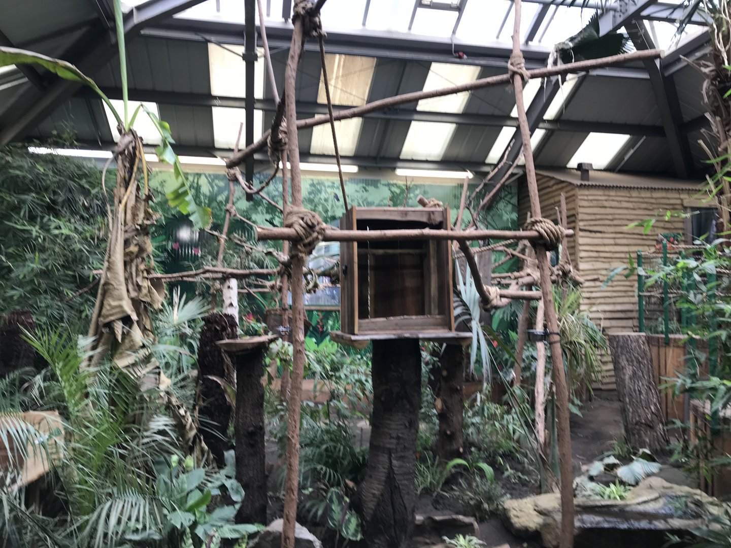 2 toed sloth enclosure