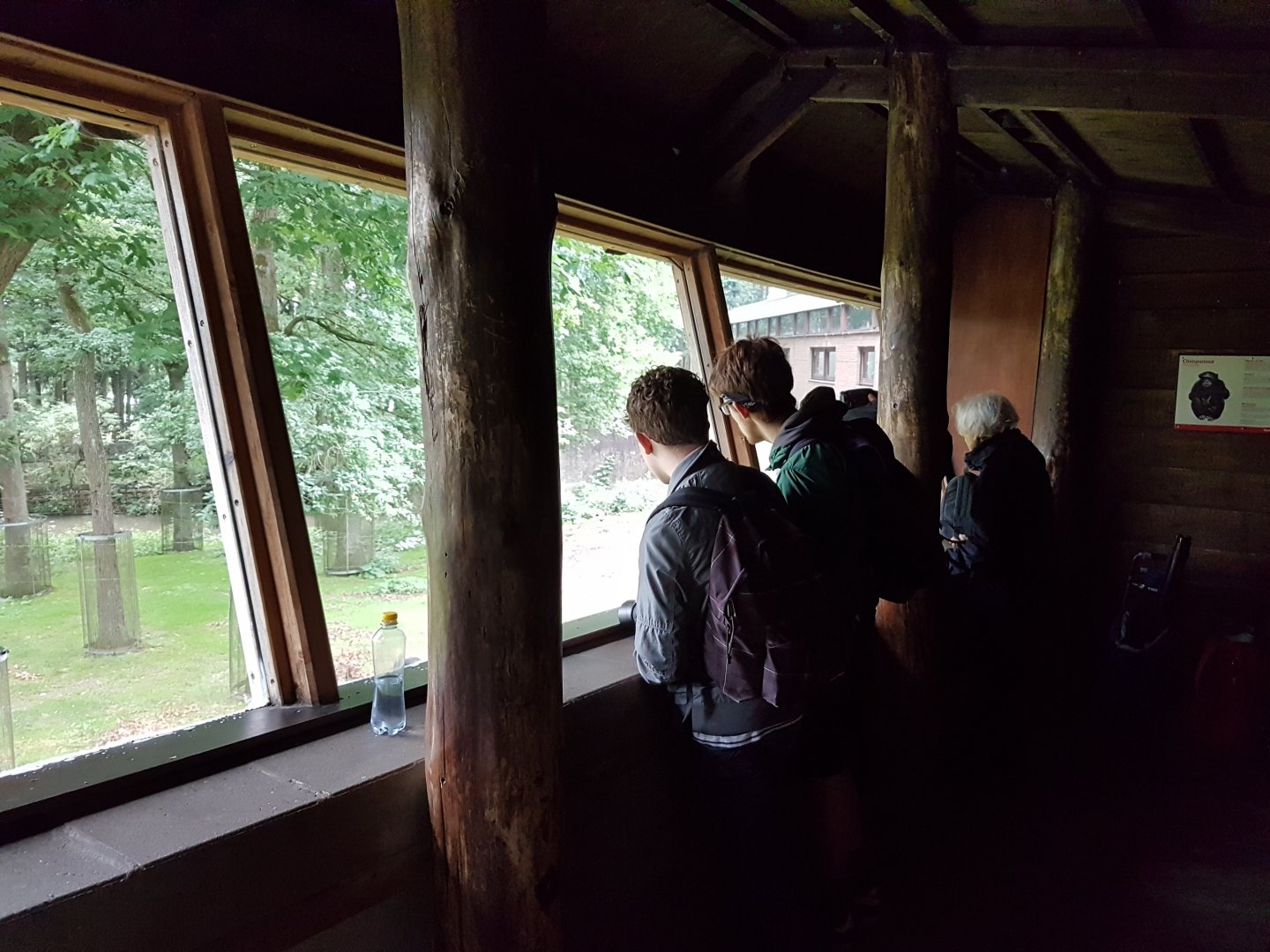 2 ZooChatters inspecting the Chimps