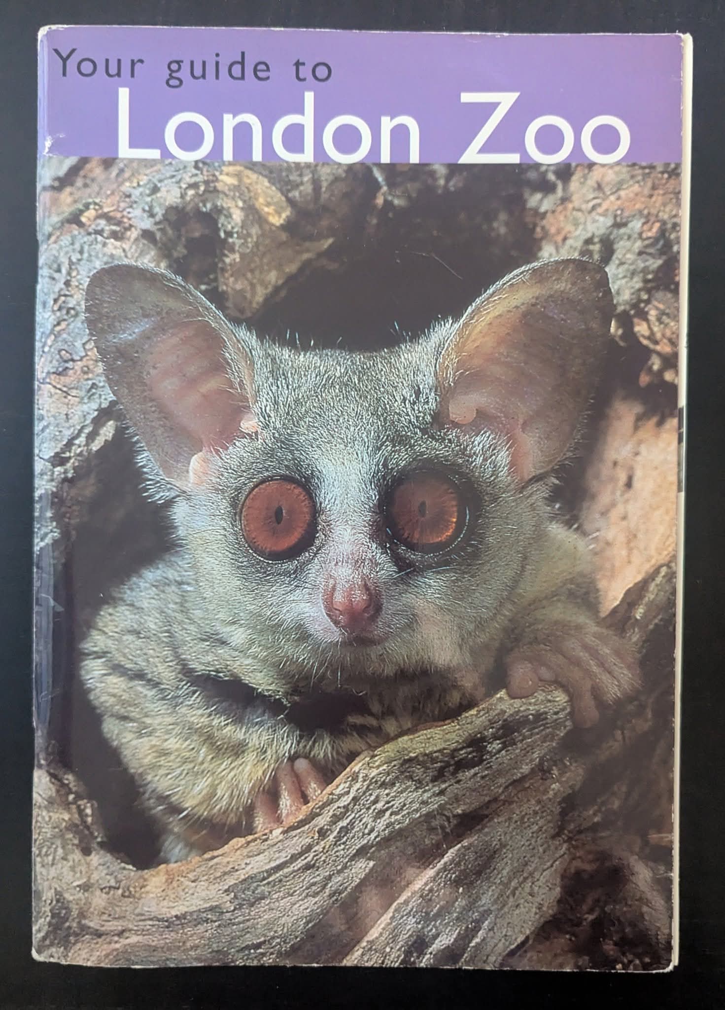 2000 ZSL London Zoo Guide Book