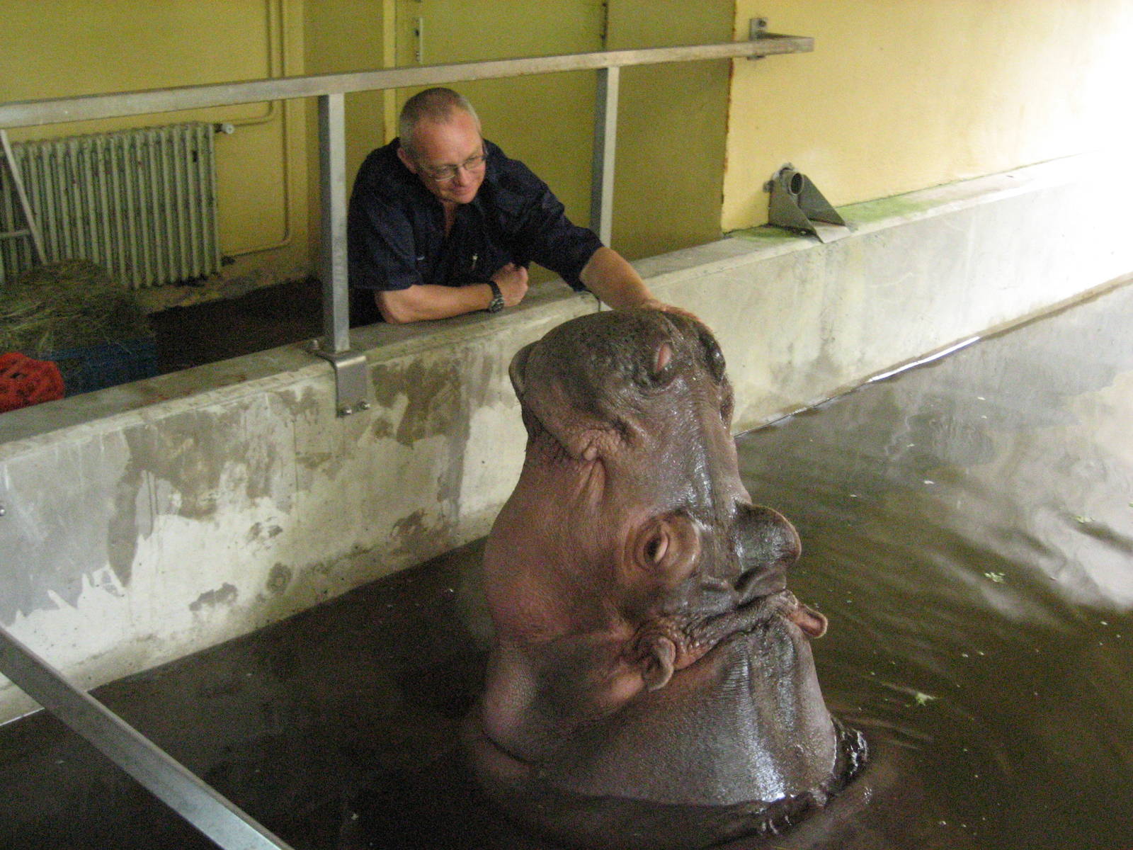 2005 - Hippo with zookeeper