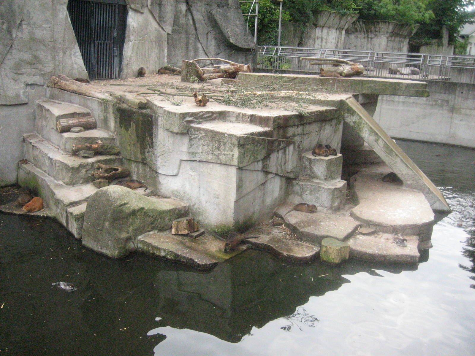2008 - Former polar bear enclosure - now with beavers in it