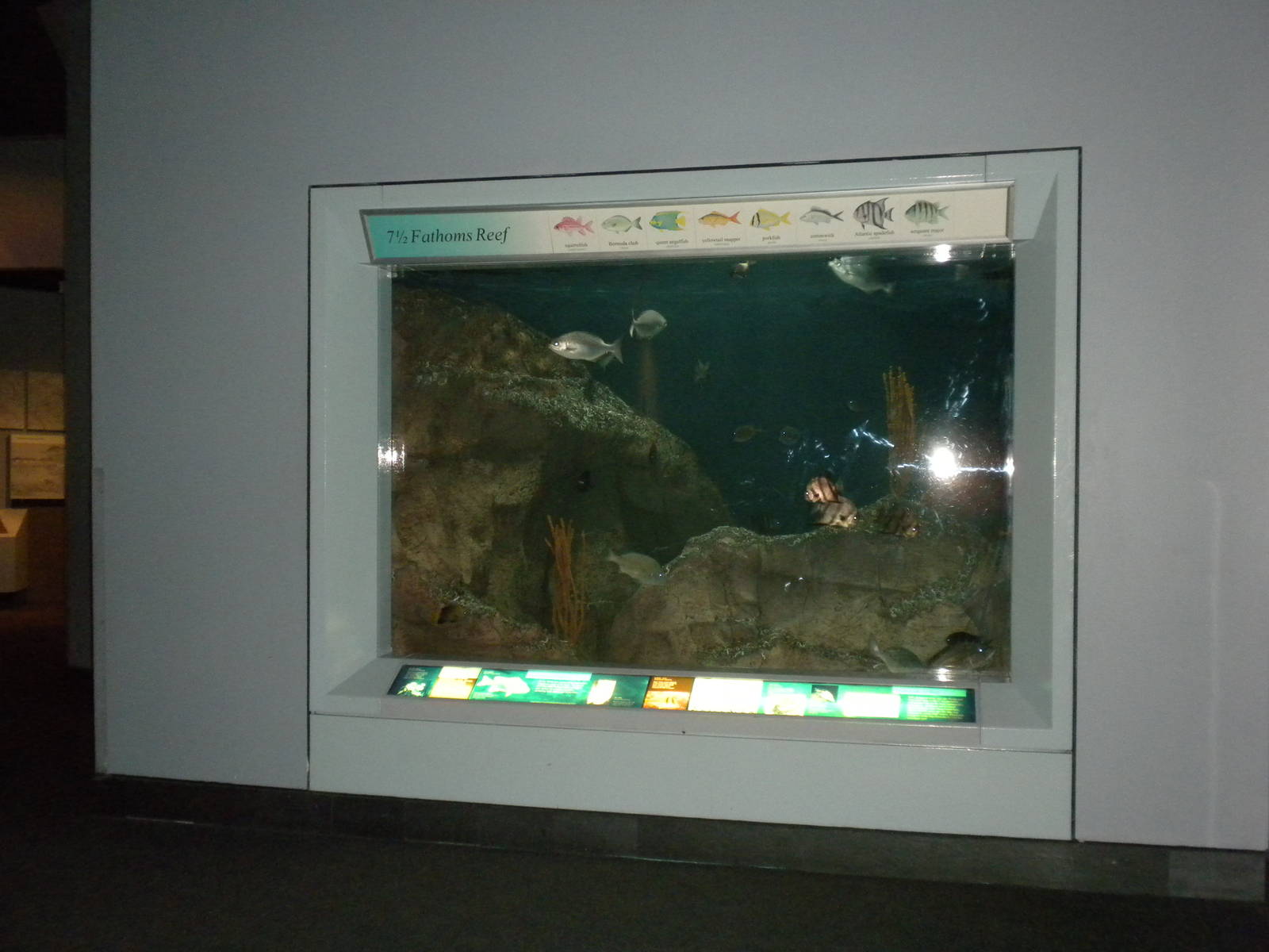 2010 - 7 1/2 Fathoms Deep