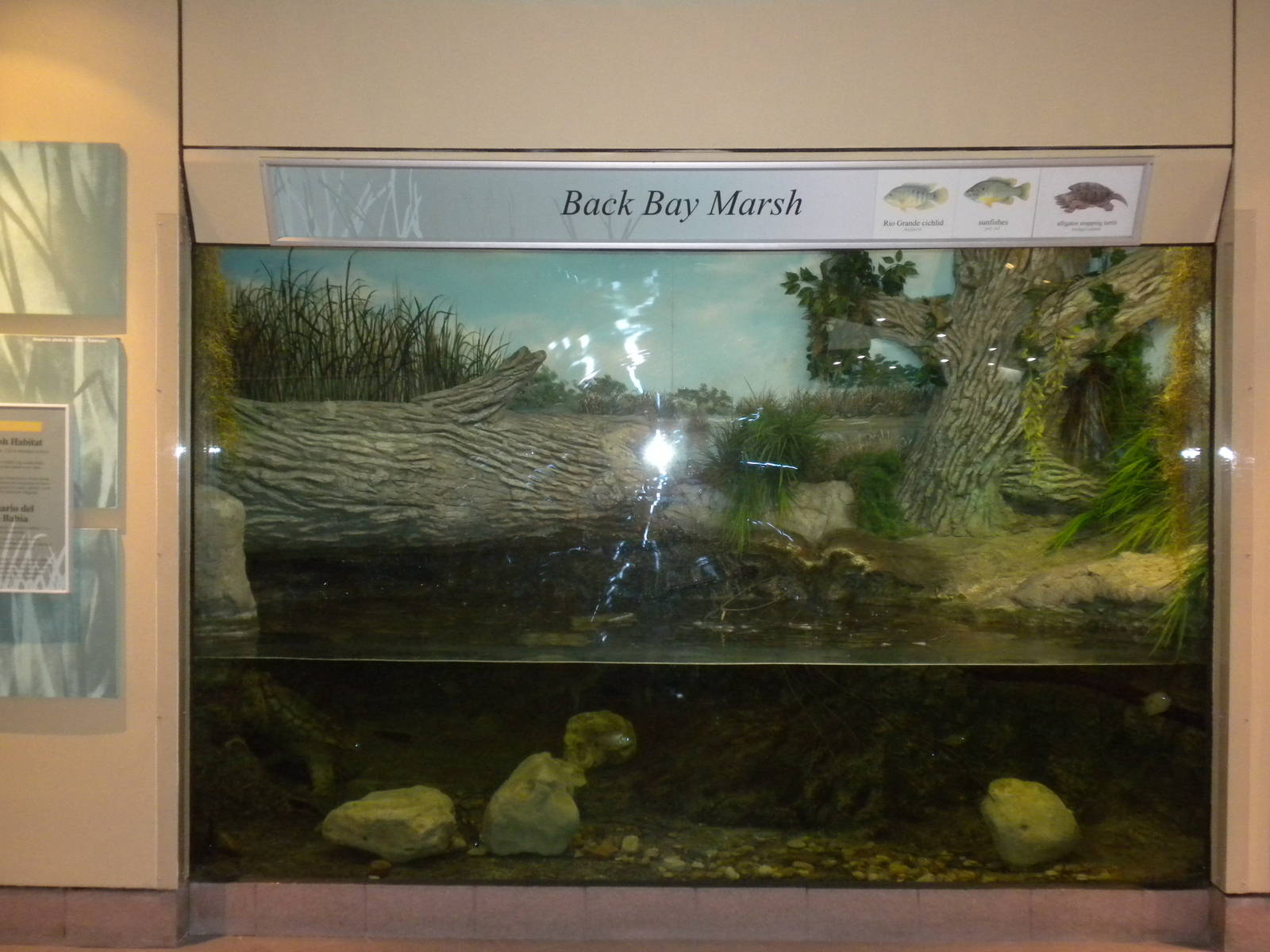 2010 - Black Bay Marsh