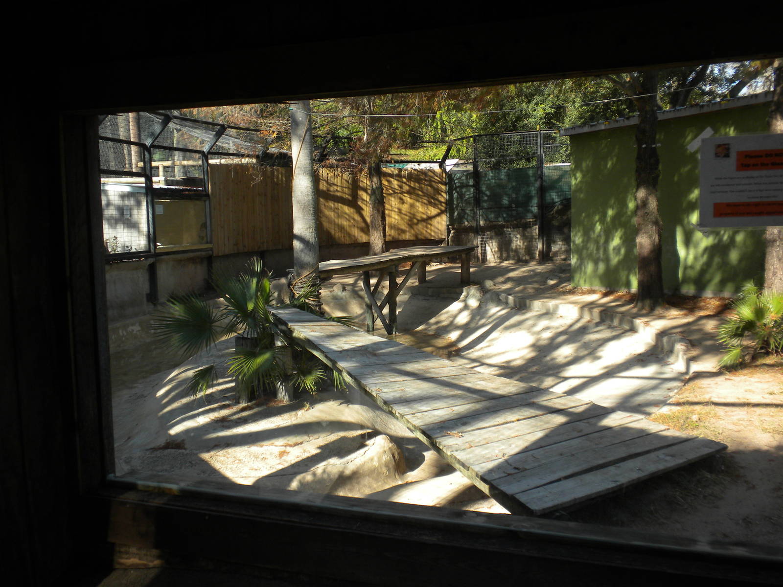 2010 - Black Bear exhibit