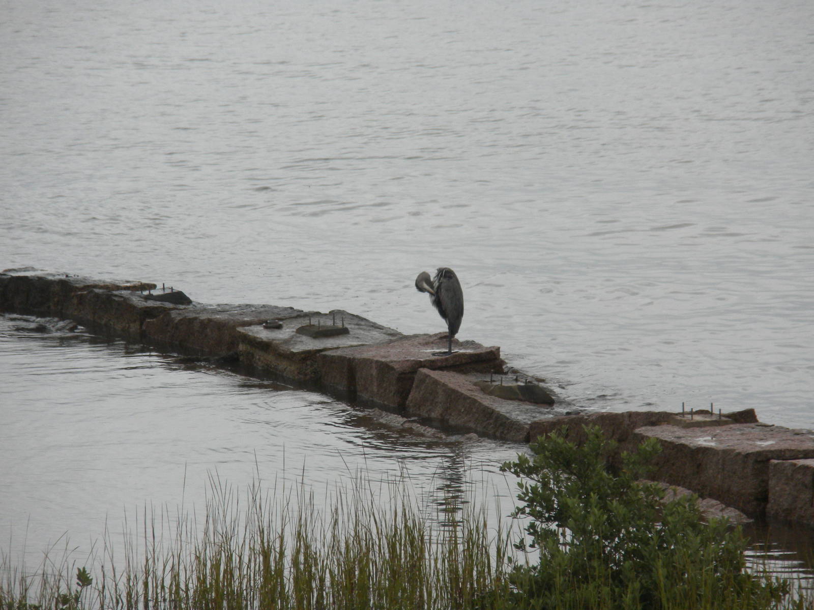 2010 - Gulf of Mexico