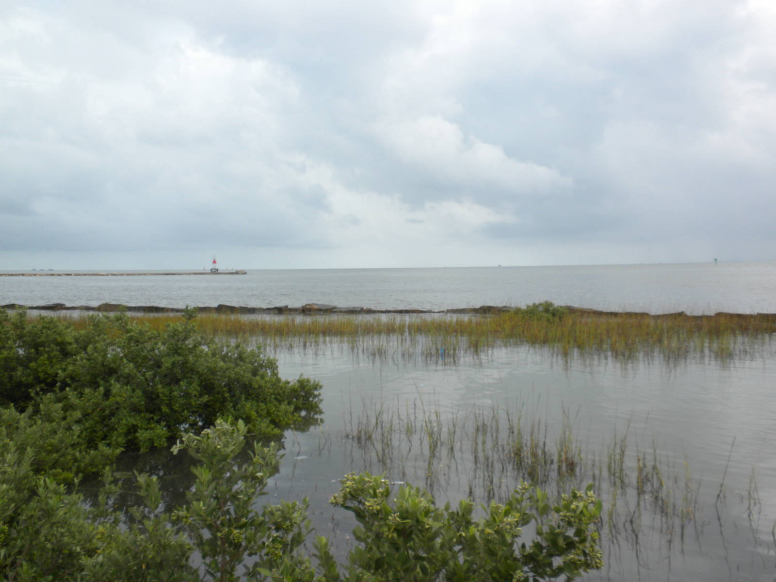 2010 - Gulf of Mexico