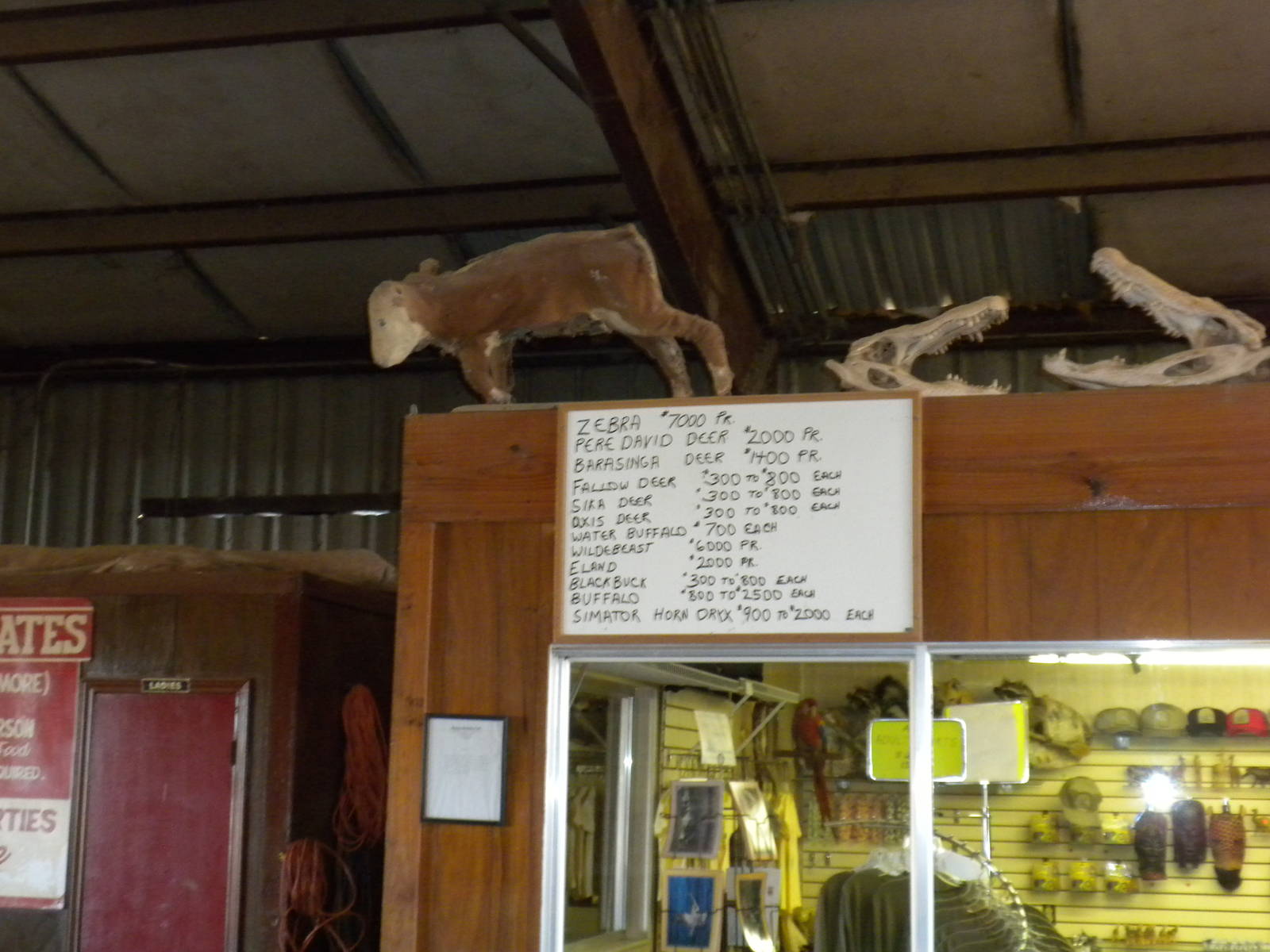 2010 - How much is that...oryx...from the tour?