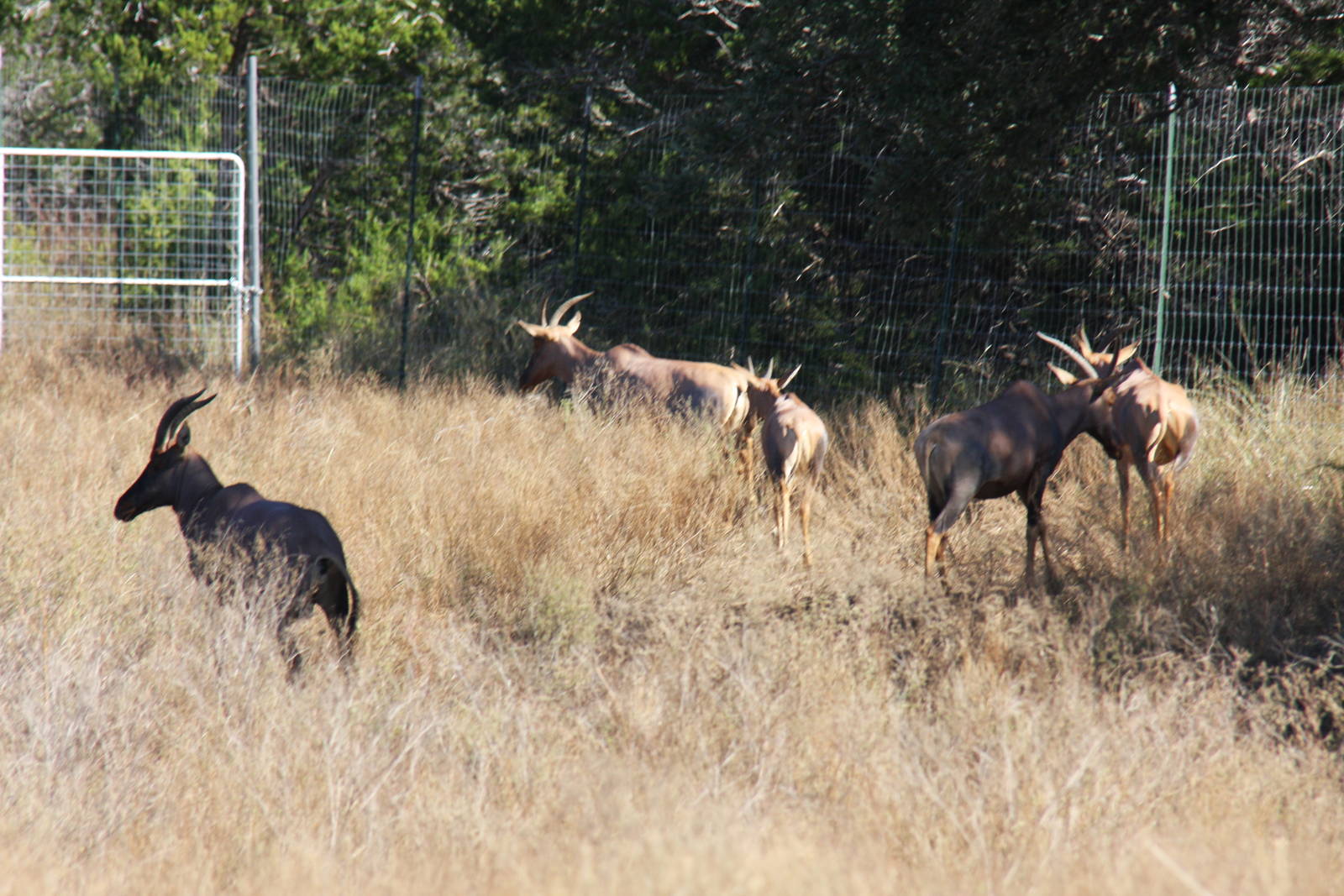2010: Larry Johnson's Place