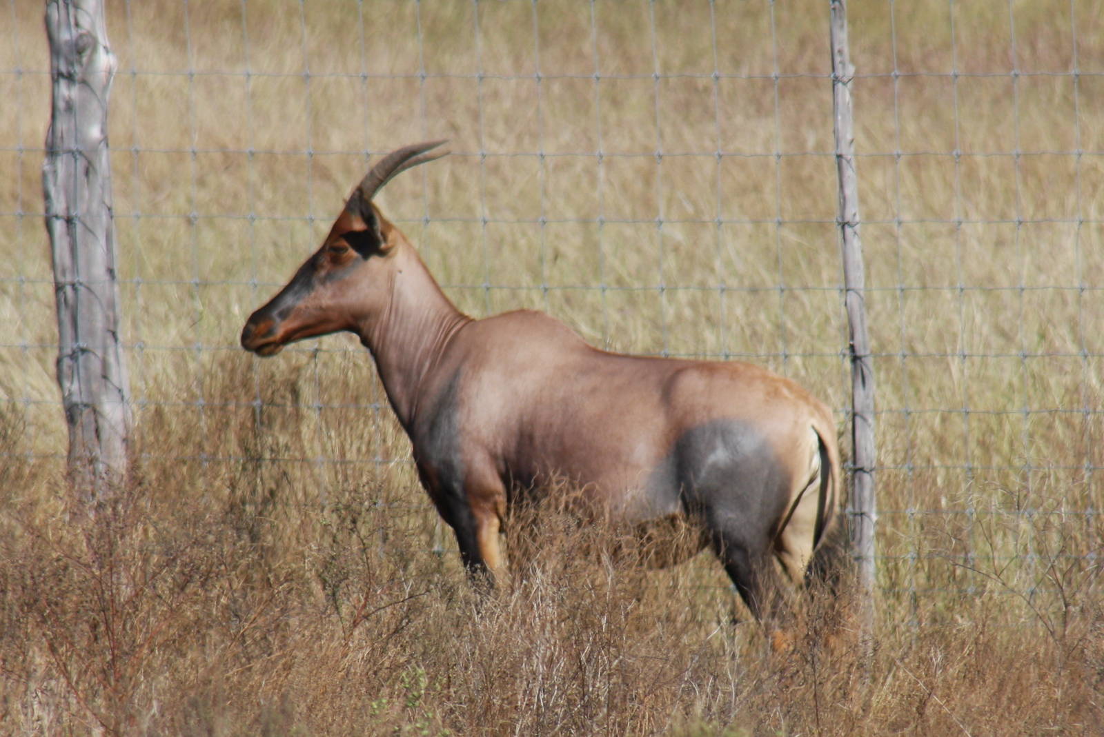 2010: Larry Johnson's Place