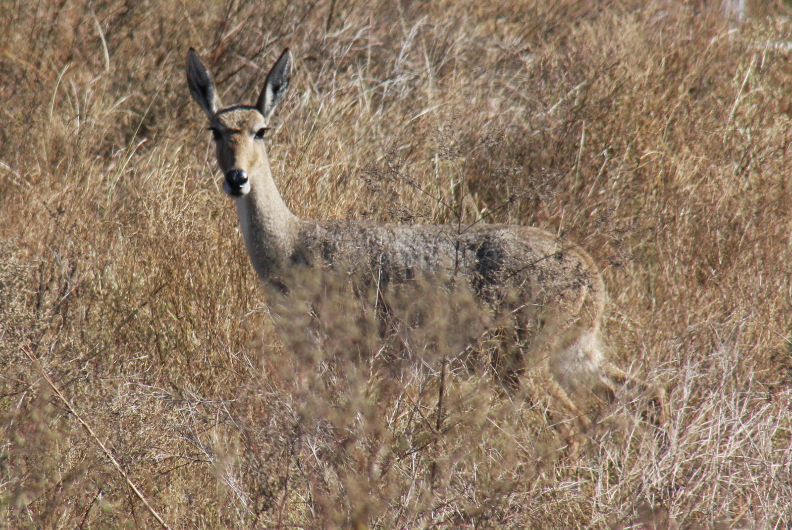 2010: Larry Johnson's Place