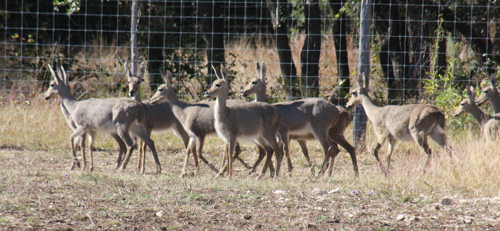2010: Larry Johnson's Place