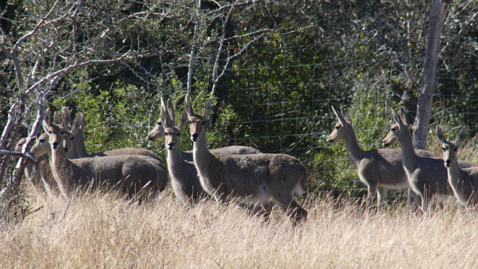 2010: Larry Johnson's Place
