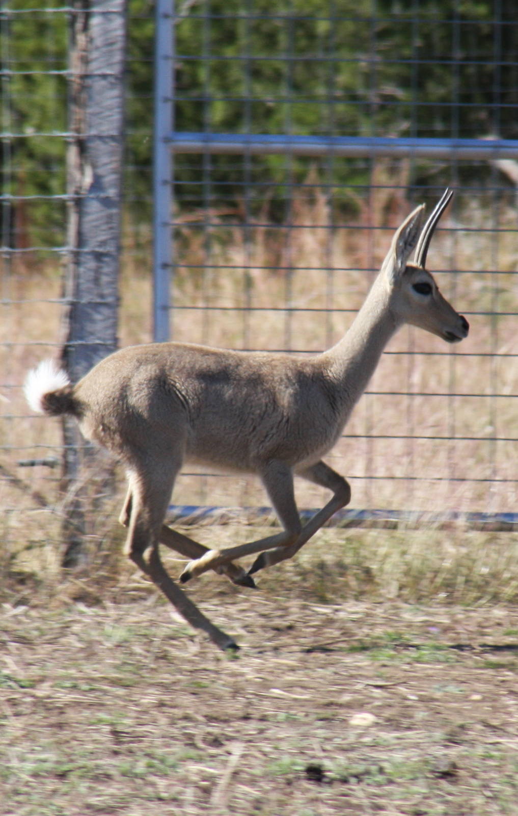 2010: Larry Johnson's Place