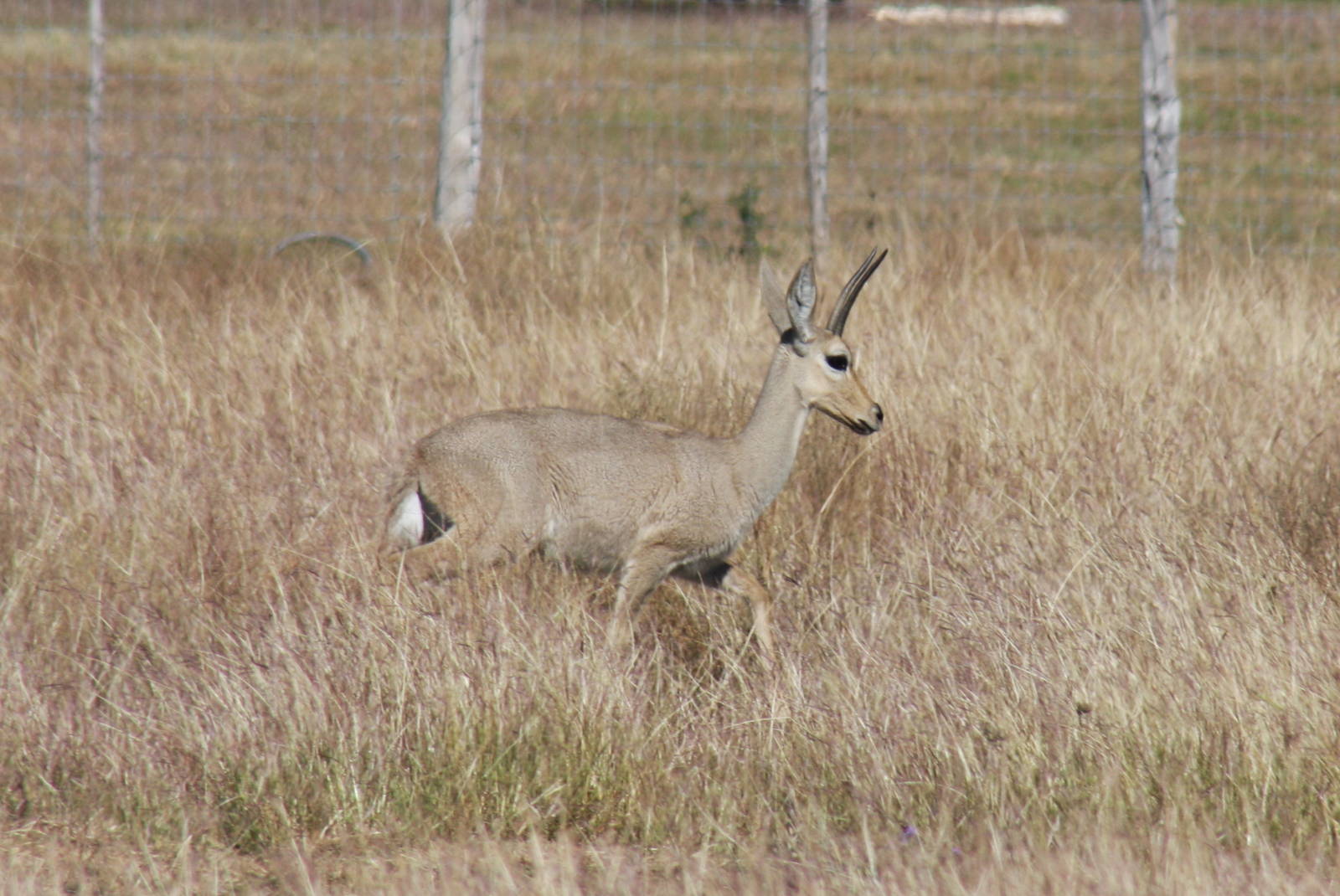 2010: Larry Johnson's Place