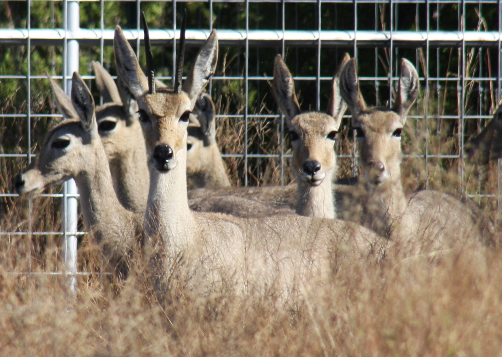 2010: Larry Johnson's Place