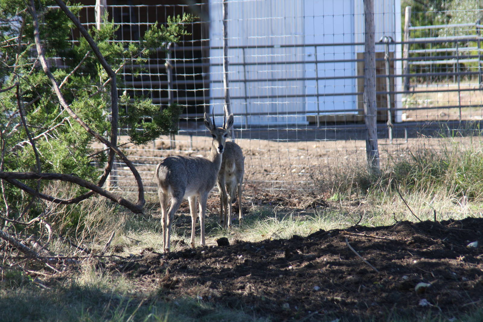 2010: Larry Johnson's Place
