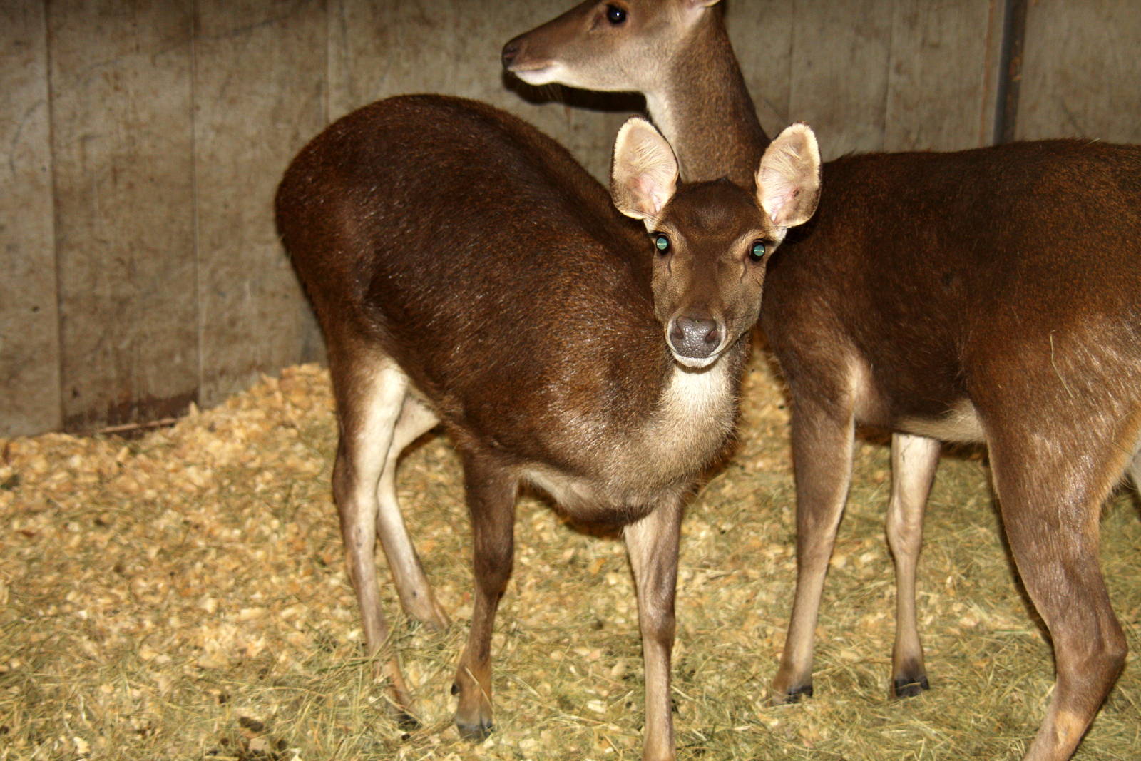 2010: Larry Johnson's Place