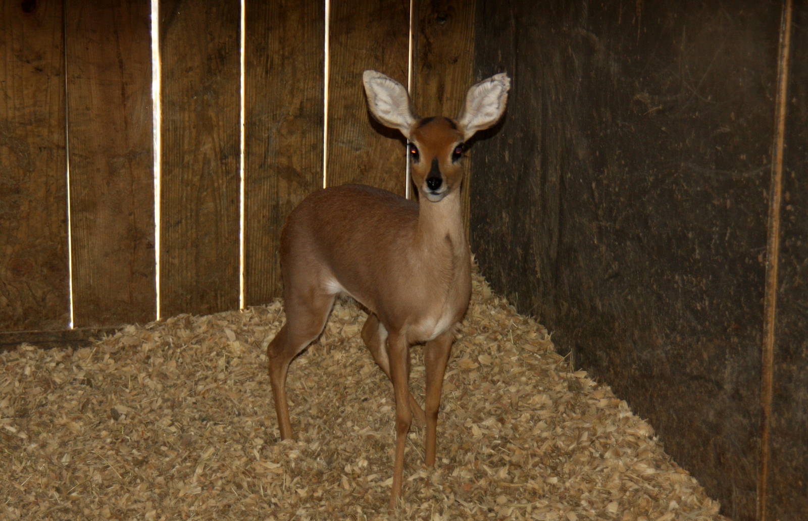 2010: Larry Johnson's Place