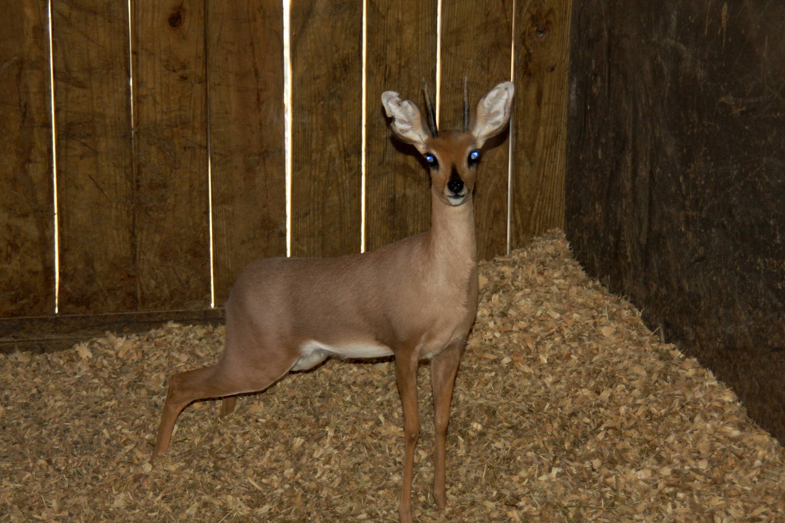 2010: Larry Johnson's Place