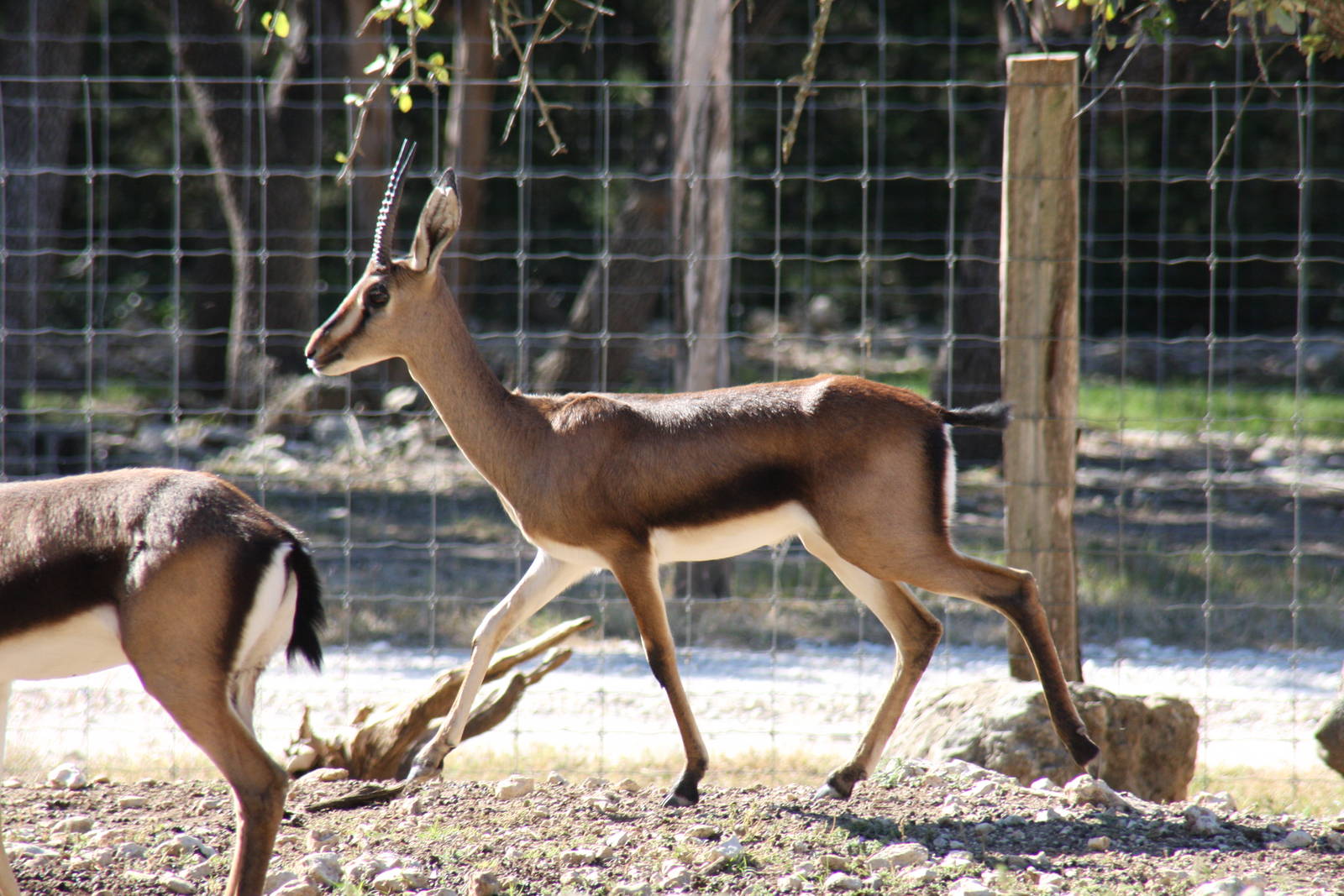 2010: Larry Johnson's Place
