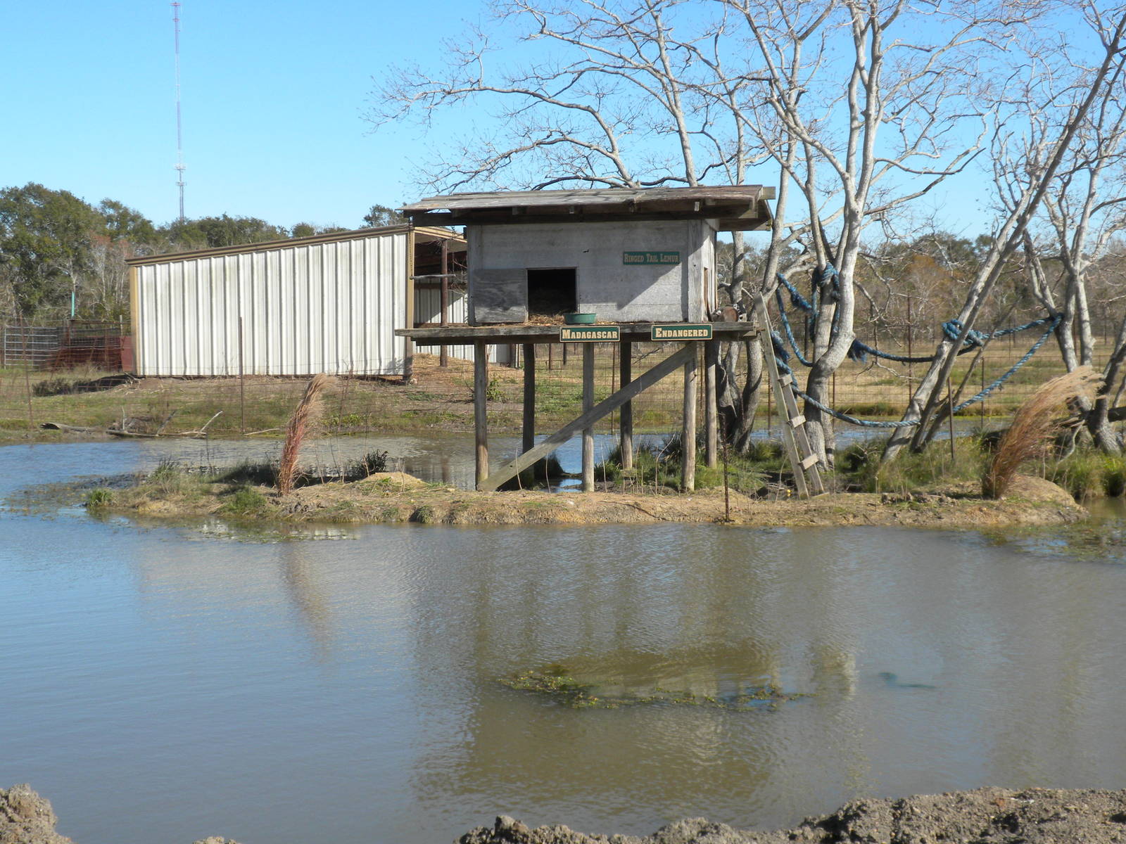 2010 - Lemur Island 2