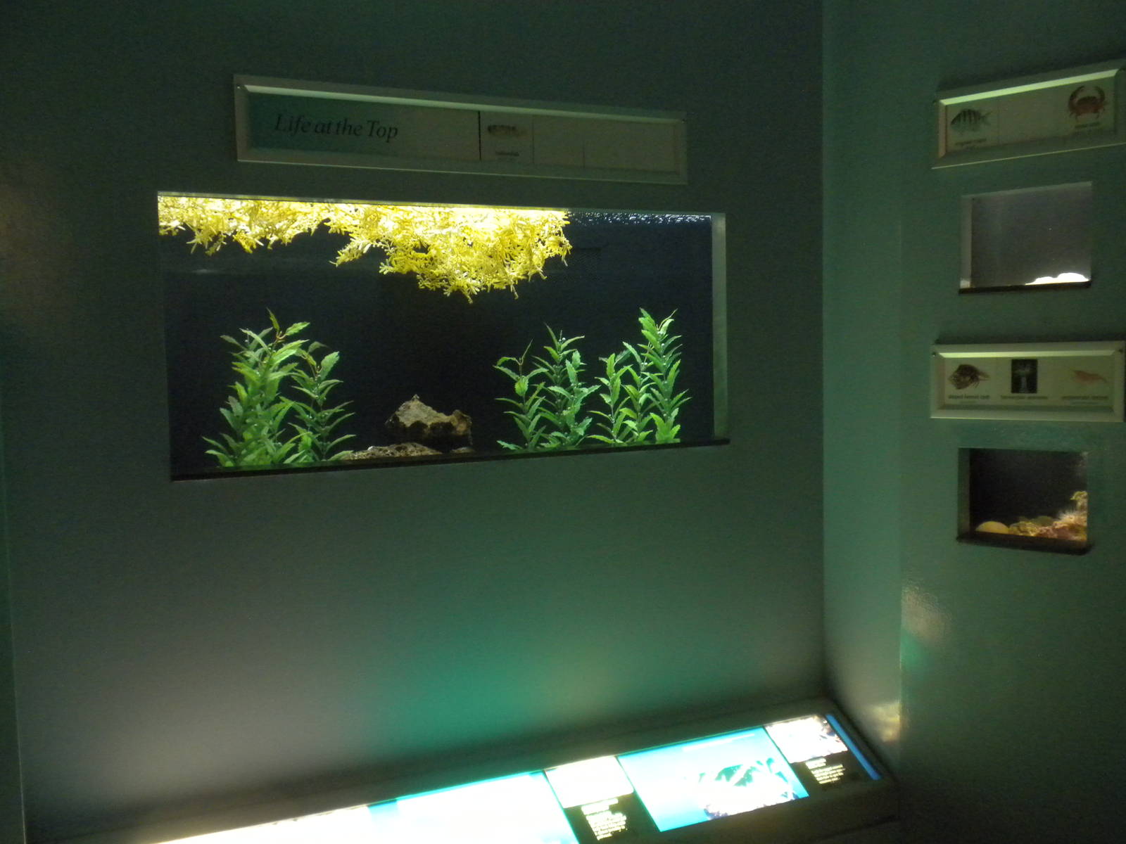 2010 - Life at the Top