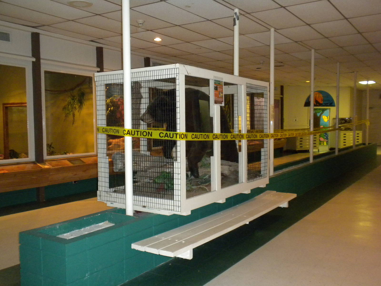 2010 - Reptile House