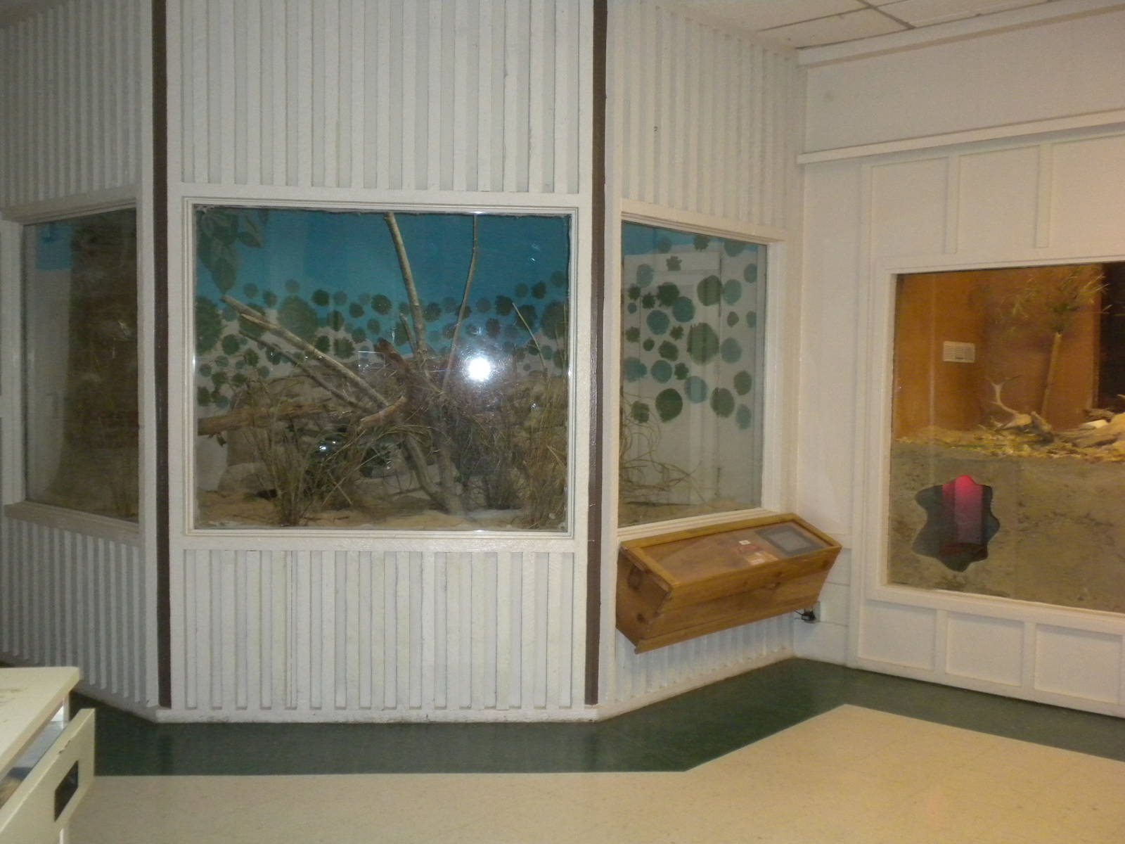 2010 - Reptile House