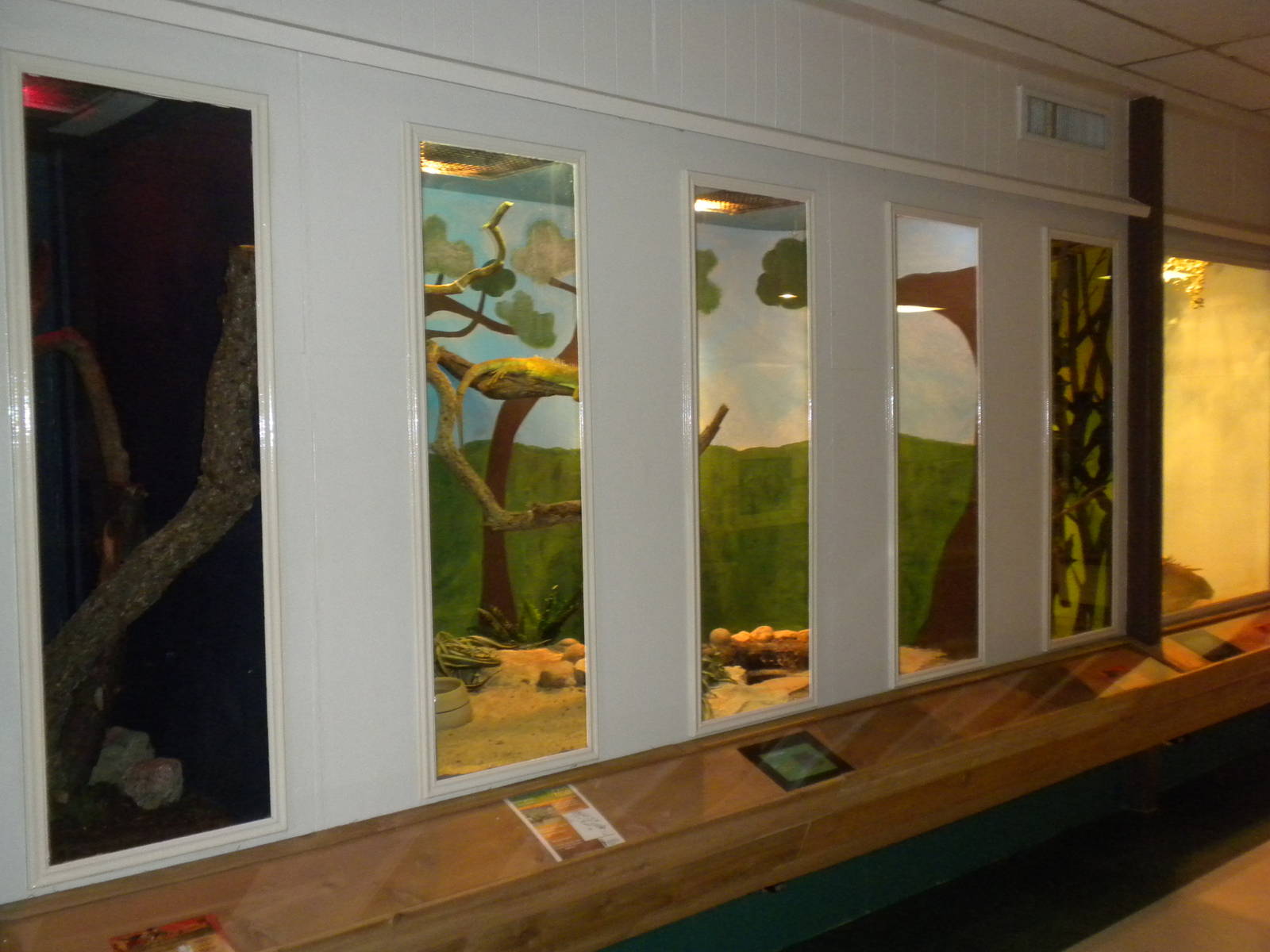 2010 - Reptile House