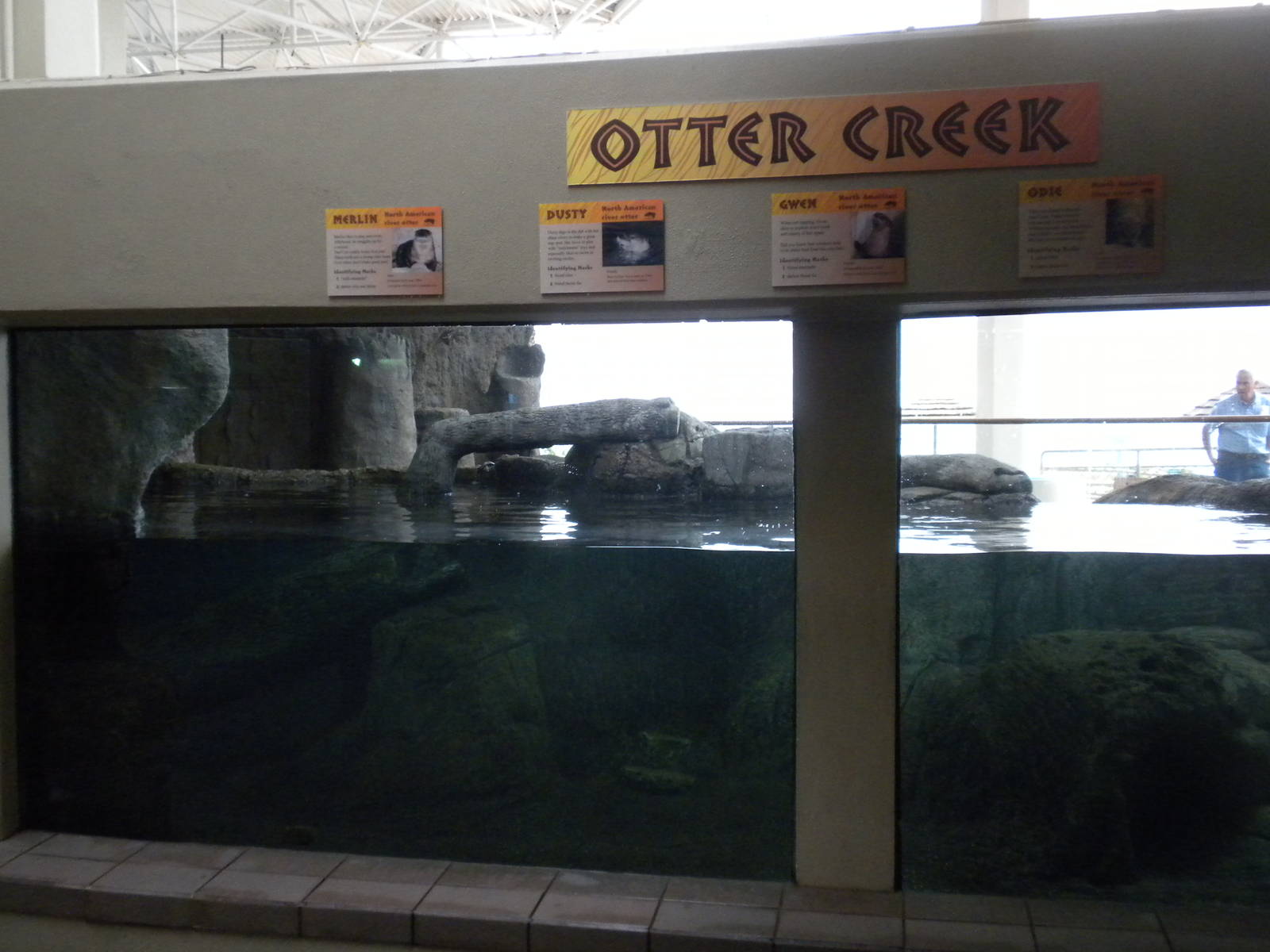 2010 - River Otters